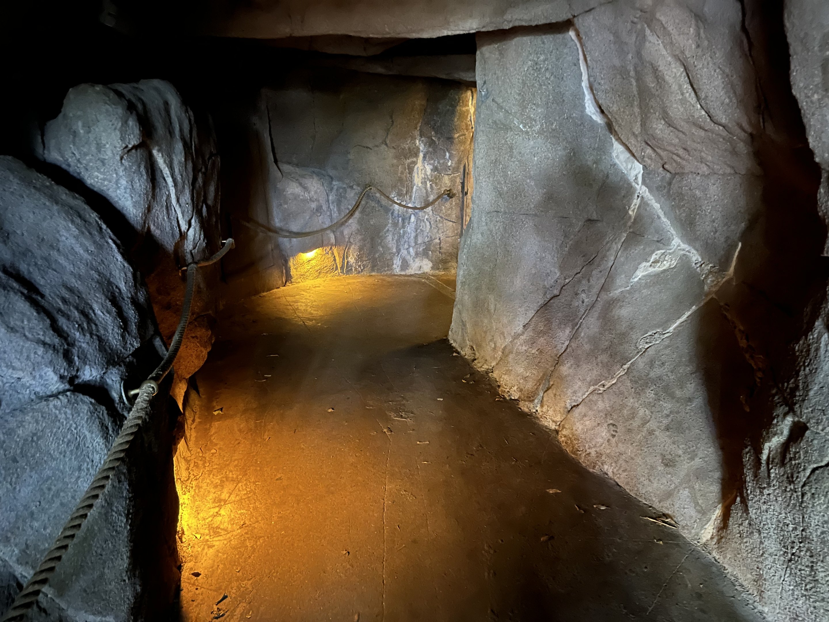 Nocturnal Entrance Cave