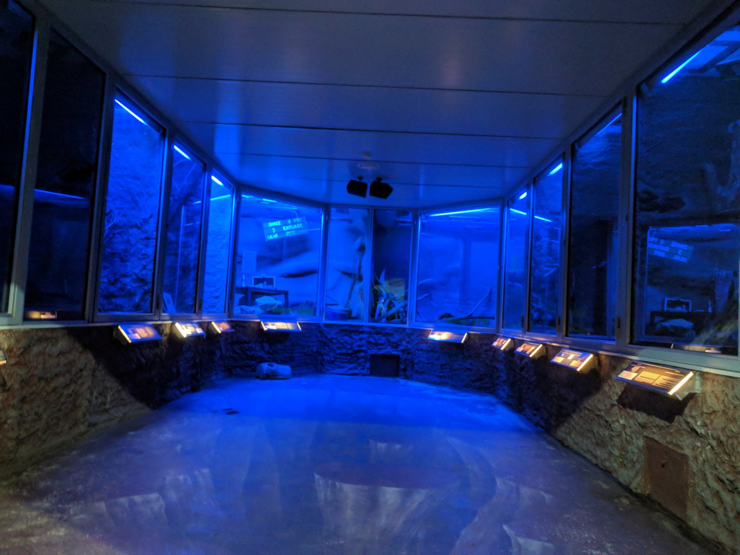 Nocturnal Hall General View