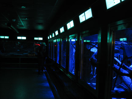 nocturnal hall of small mammal building