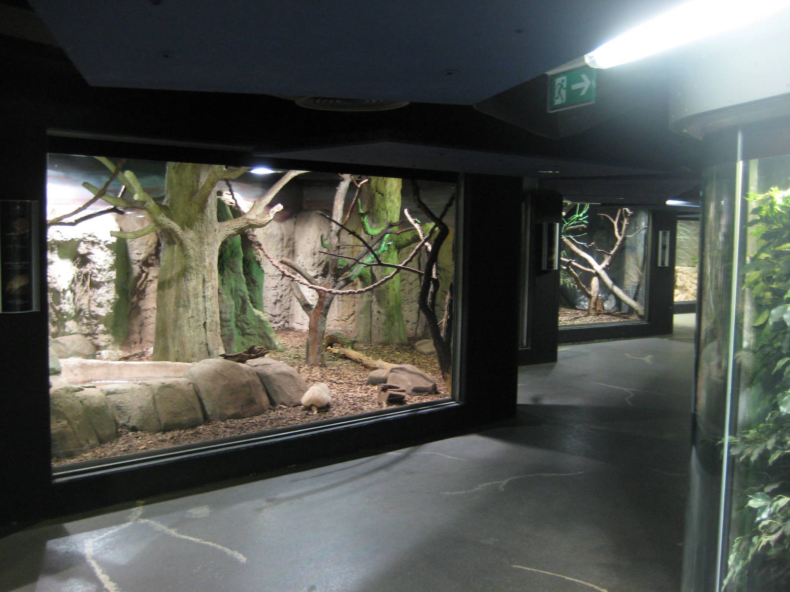 Nocturnal house at "Day"