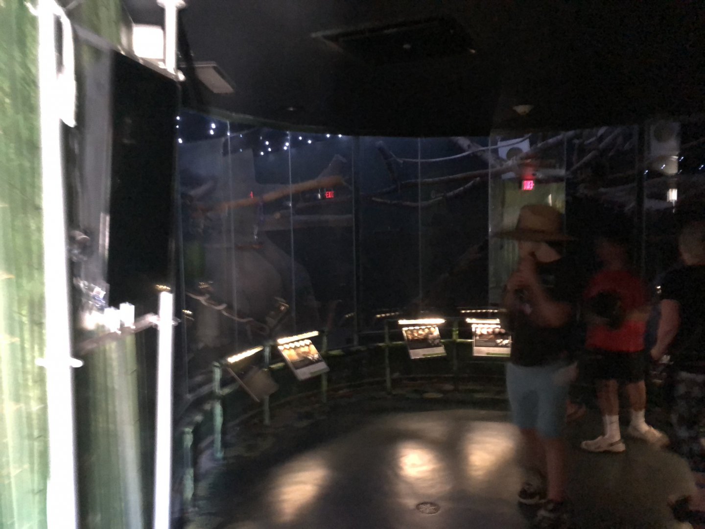 Nocturnal House at Edmonton Valley Zoo (July 2022)