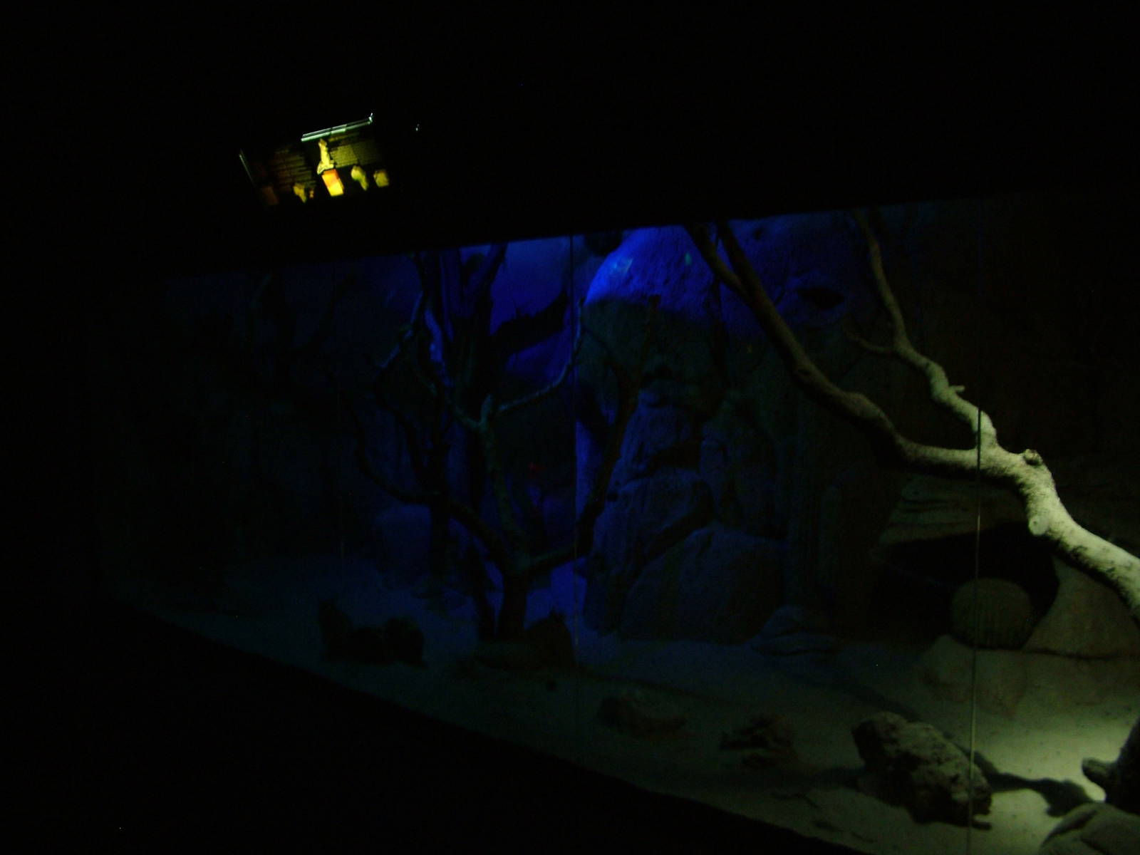 Nocturnal House at Faunia, 27/05/11