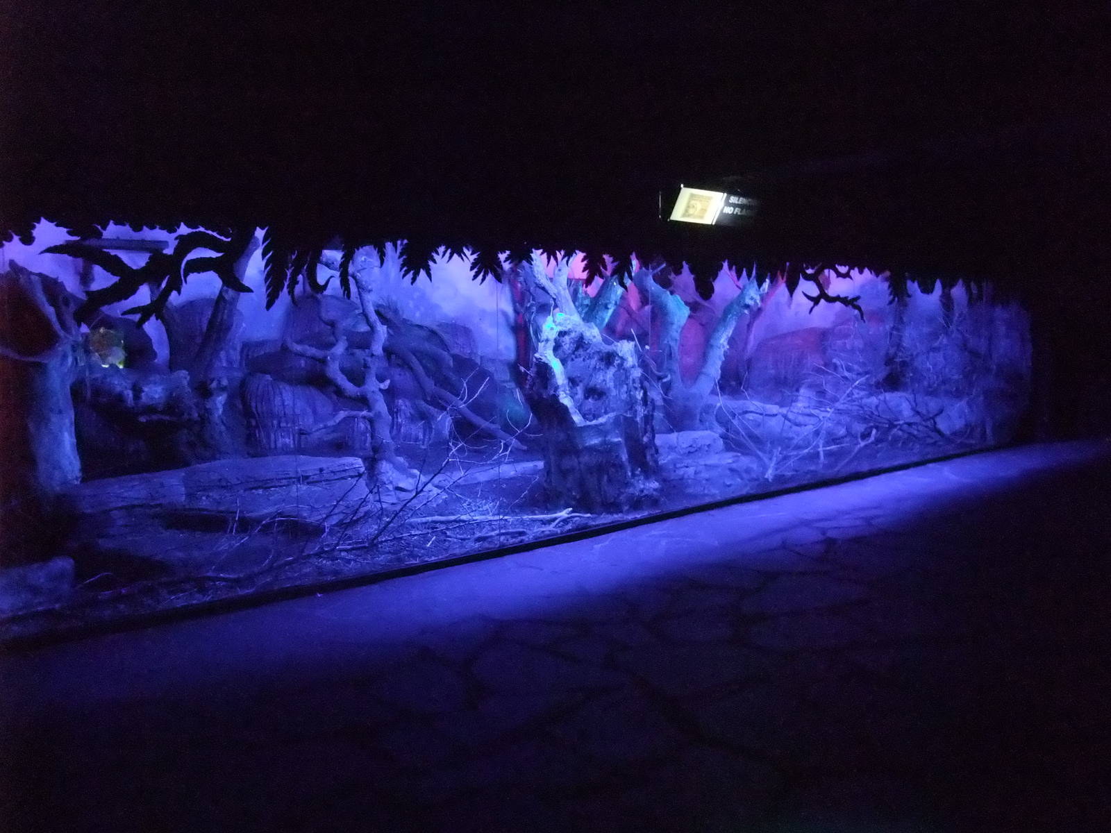 Nocturnal House at Faunia, 27/05/11