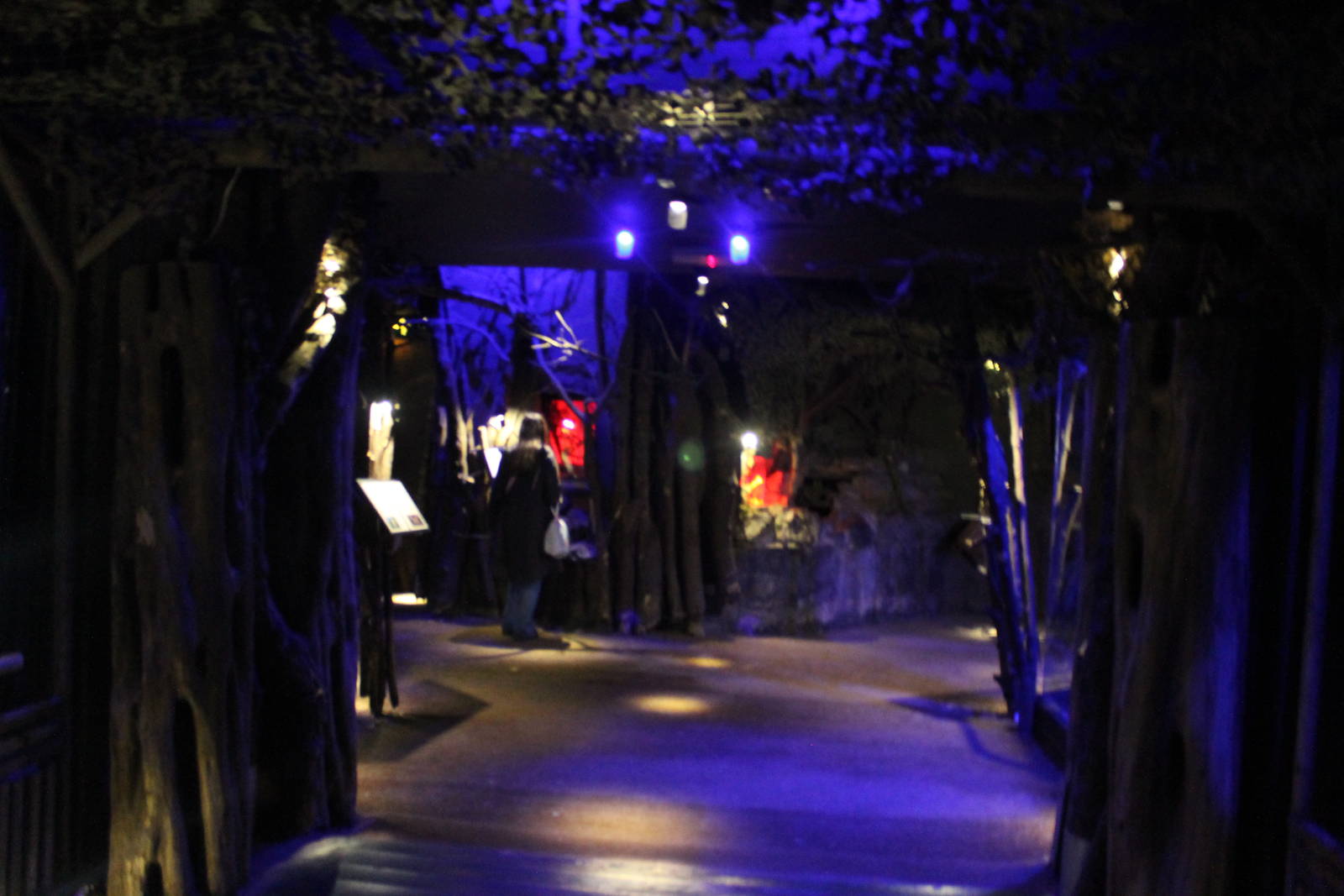 Nocturnal House, Bristol Zoo