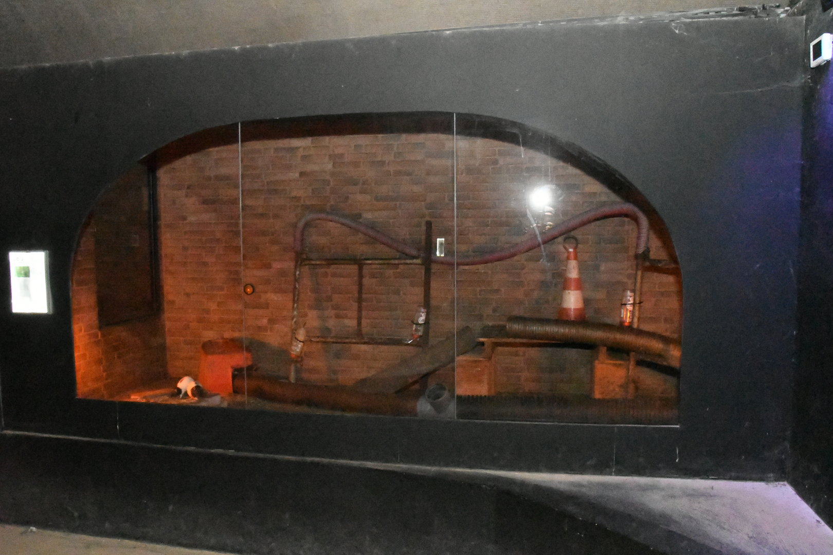 Nocturnal House (Brown Rats exhibit)