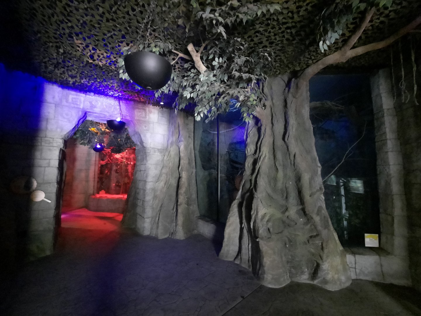 Nocturnal House Details