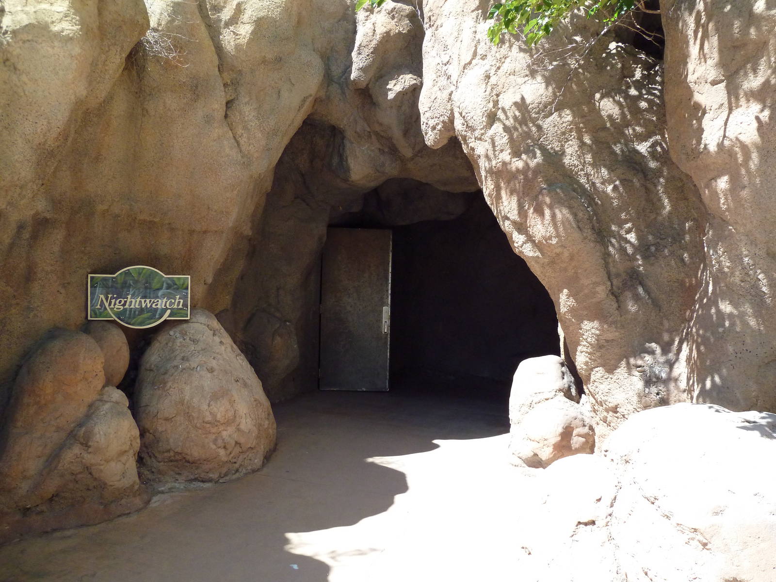 Nocturnal House - Entrance Cave