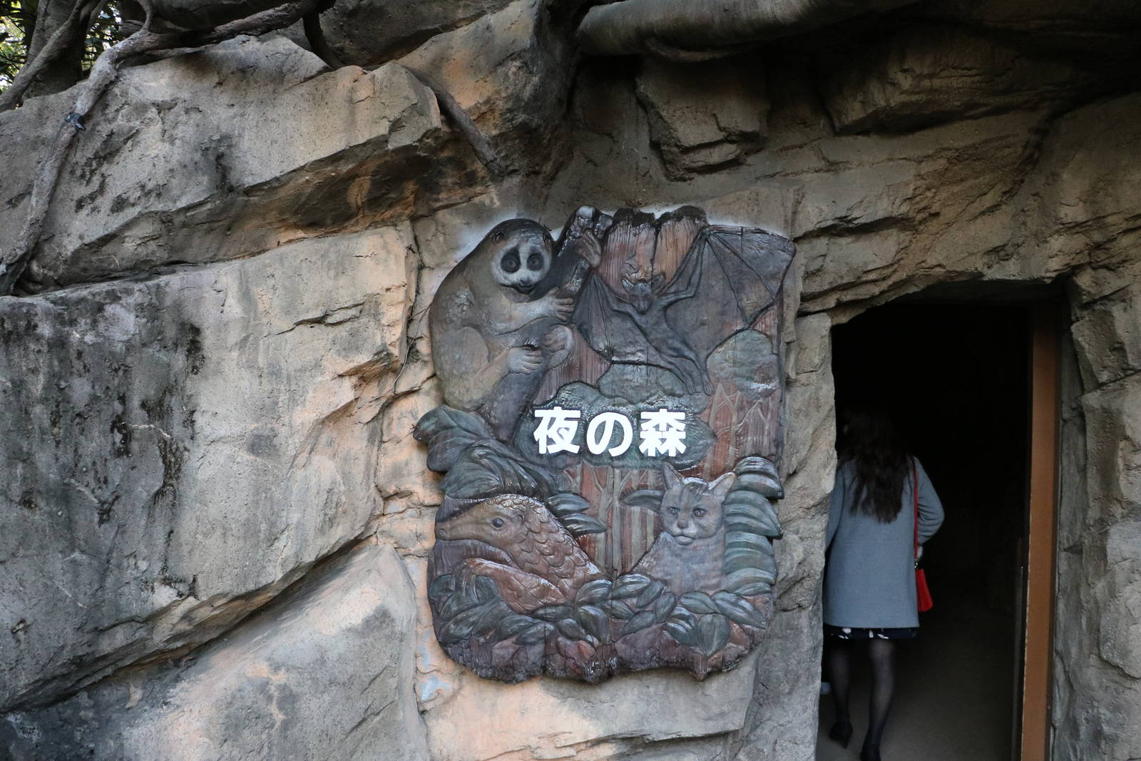 Nocturnal house entrance, February 2016