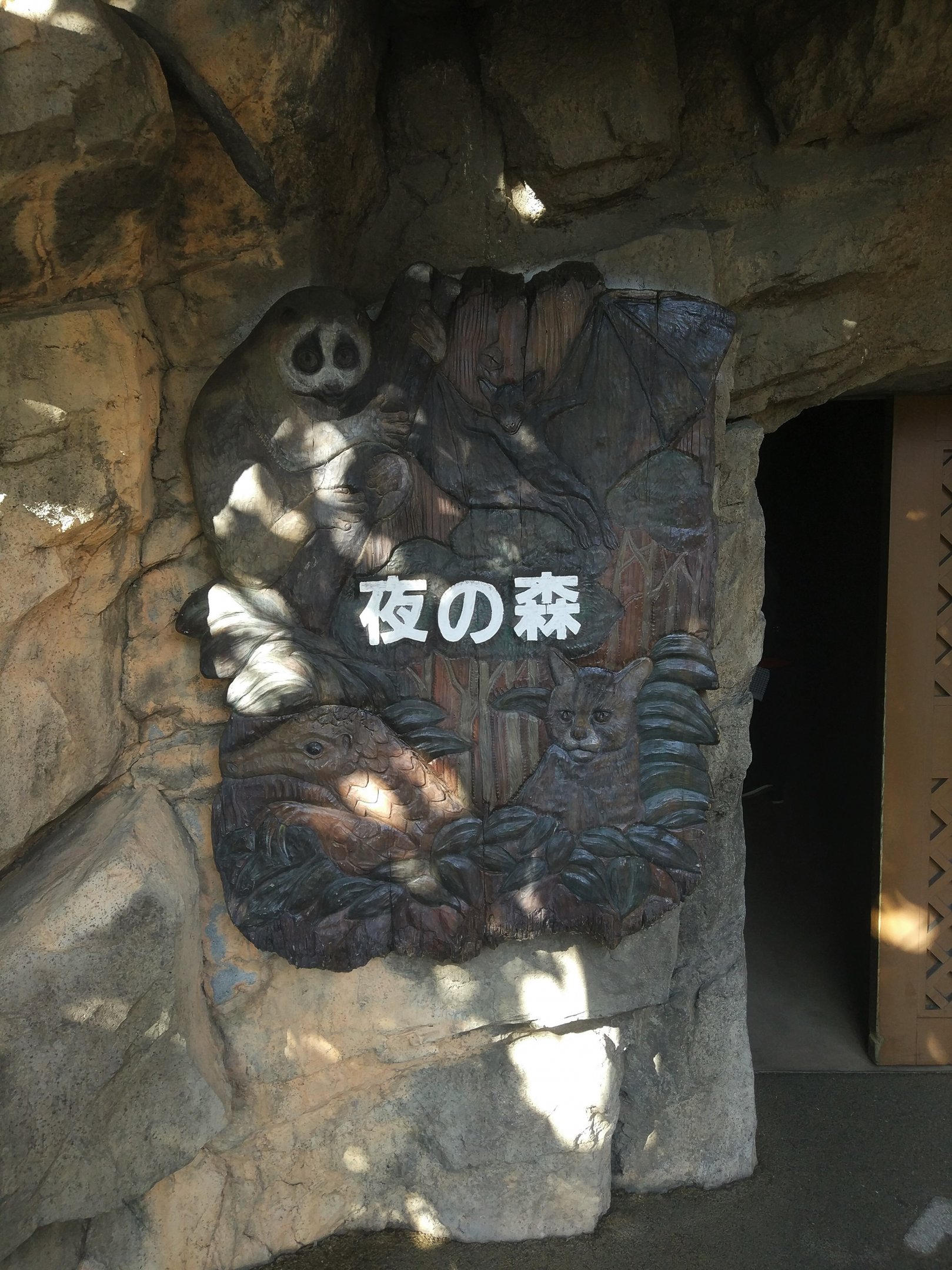 Nocturnal House Entrance