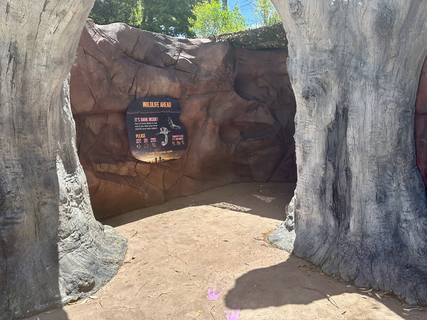 Nocturnal House (Entrance)