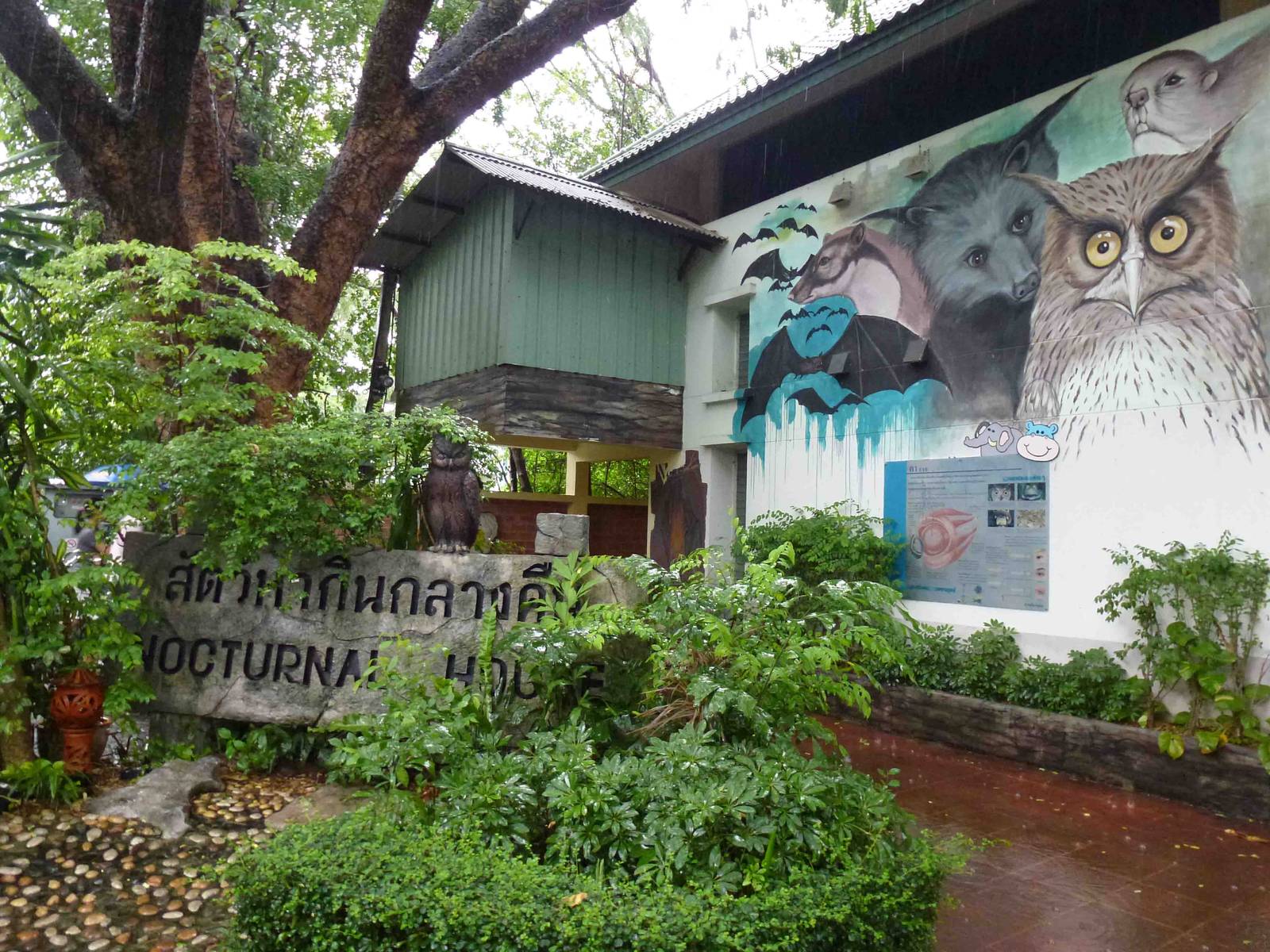 Nocturnal house exterior, July 2013.