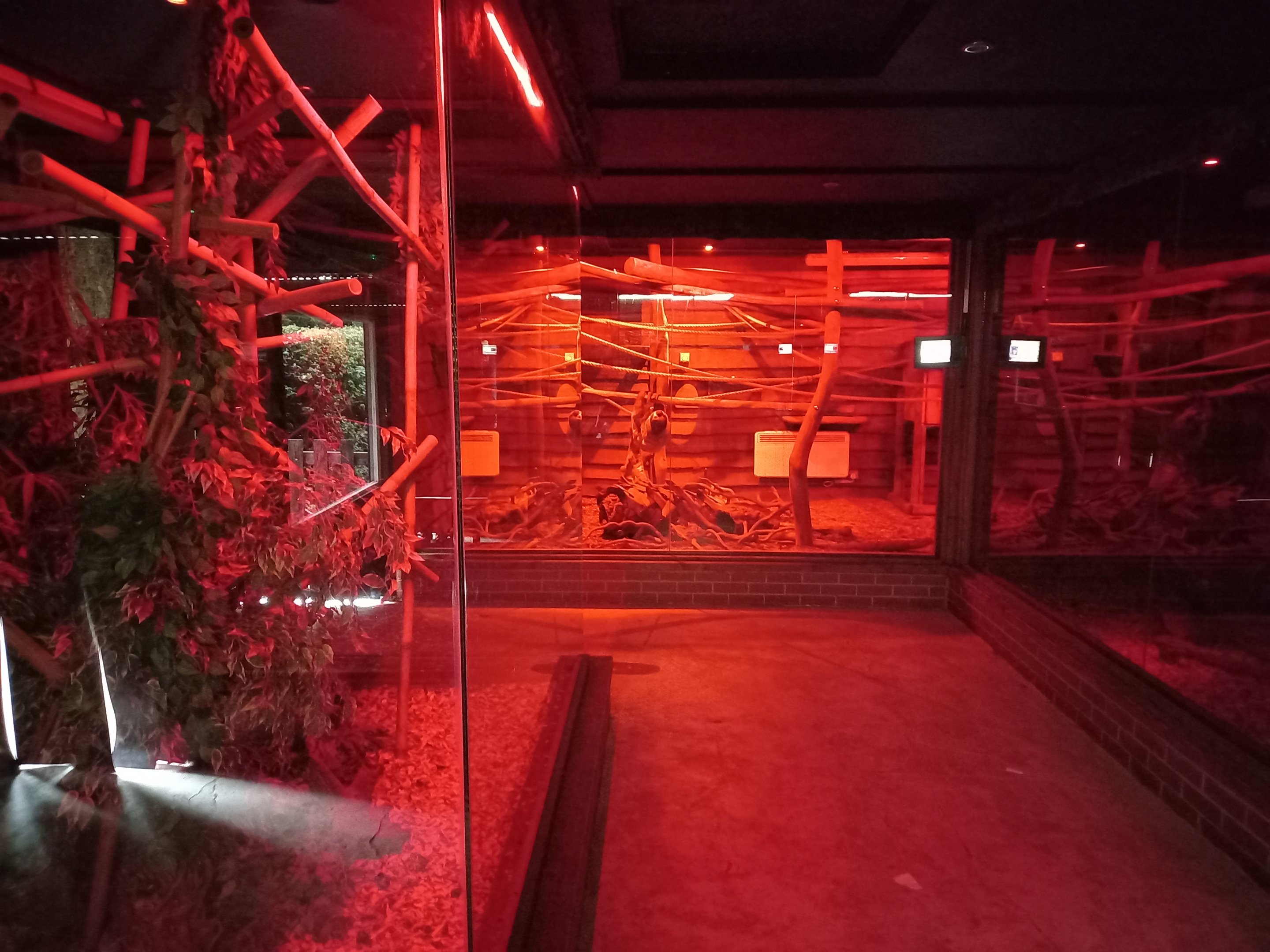 Nocturnal House - General view