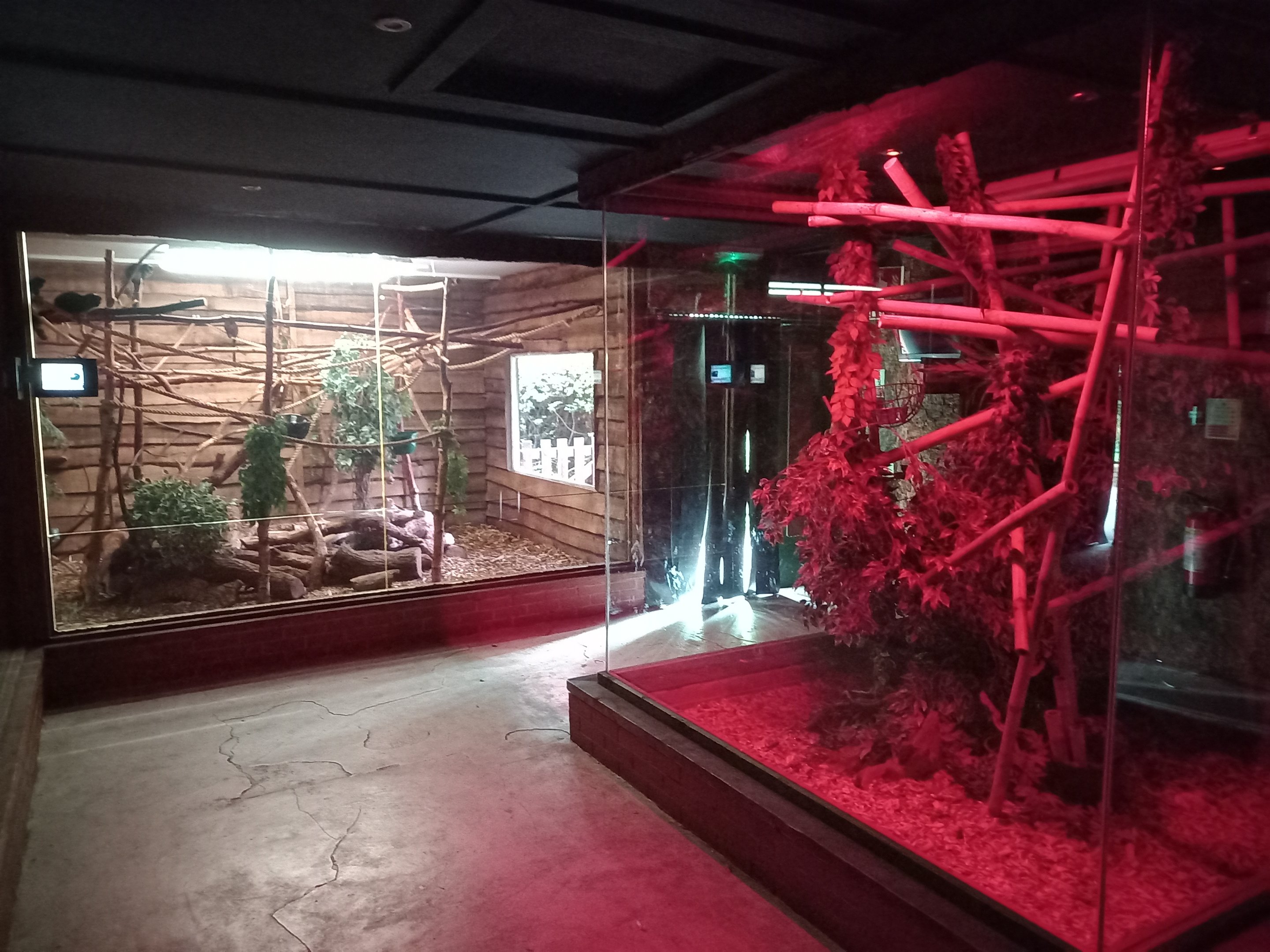 Nocturnal House - General view