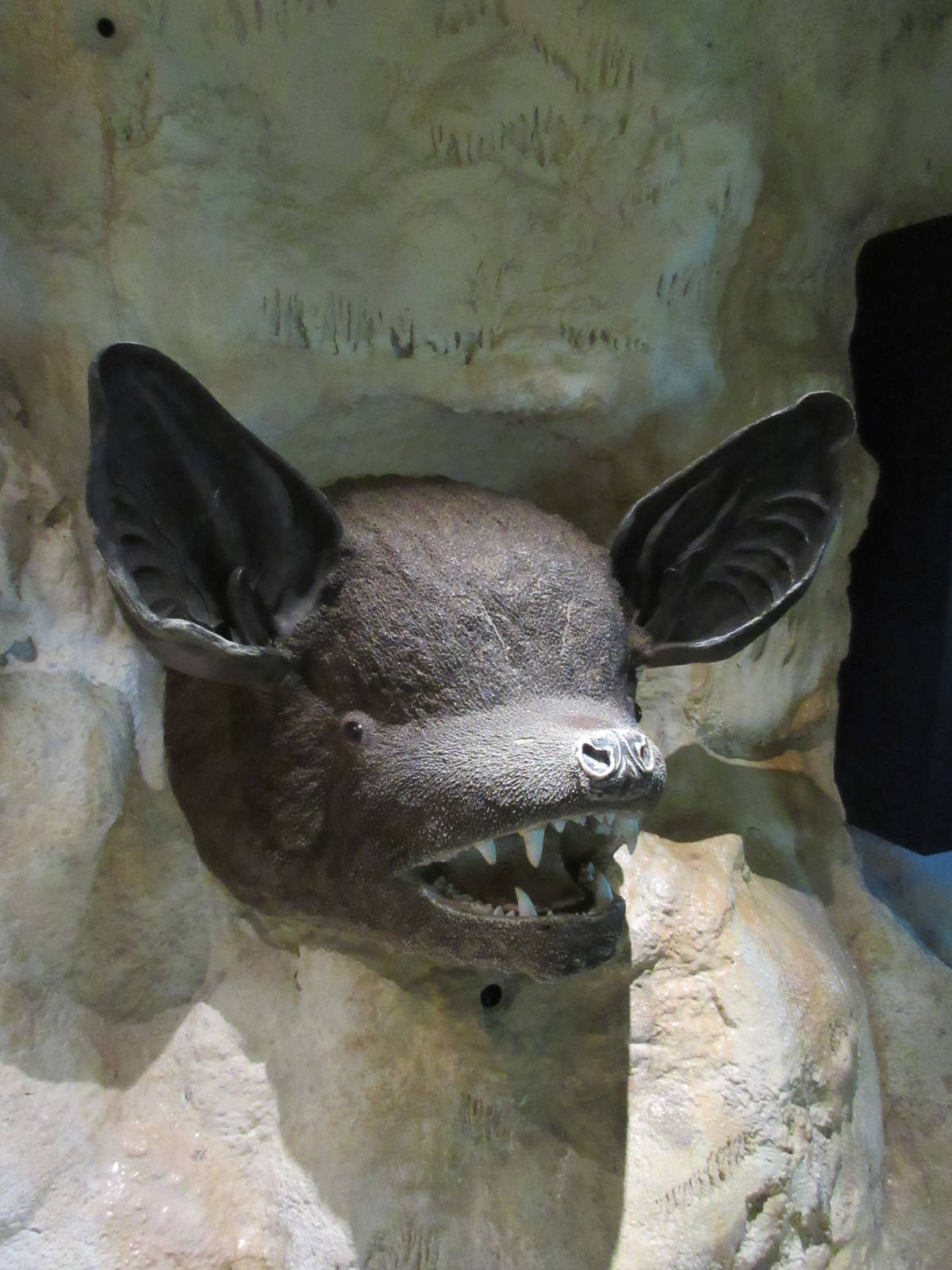 Nocturnal House Graphics - Bat Face