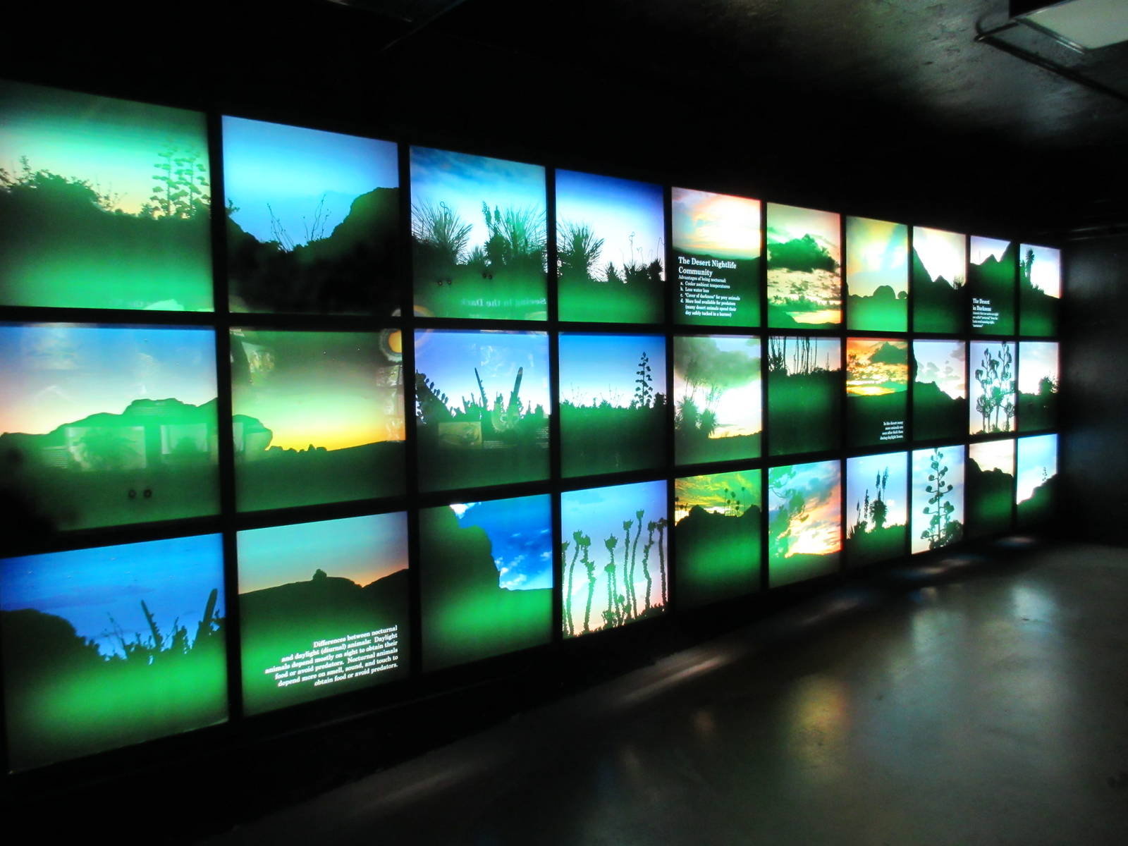 Nocturnal House Graphics