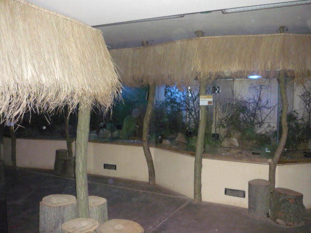 Nocturnal House Inside