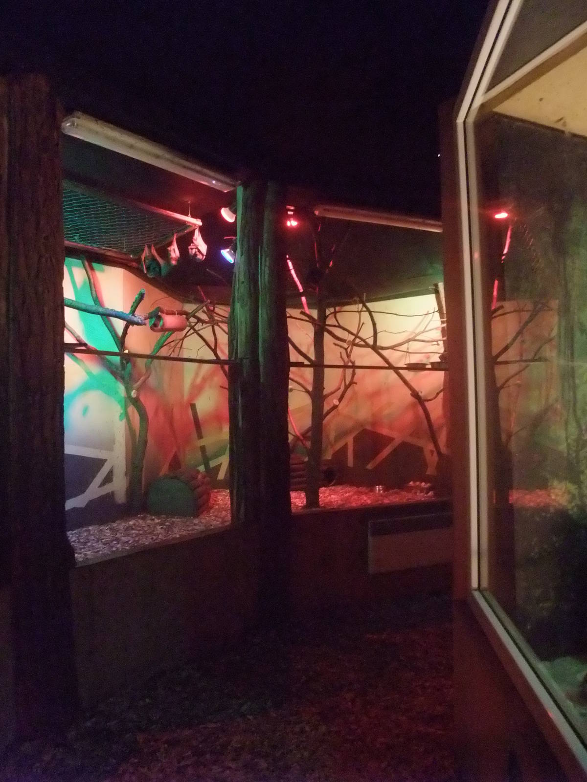 Nocturnal House interior at Olomouc 30/05/09