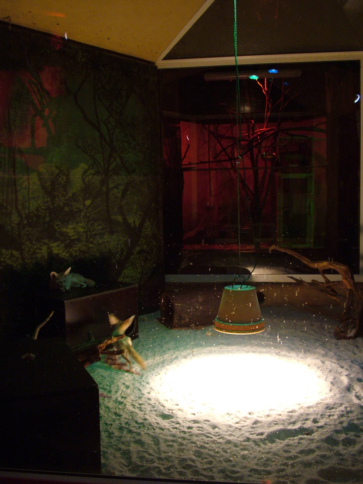 Nocturnal House interior at Olomouc 30/05/10