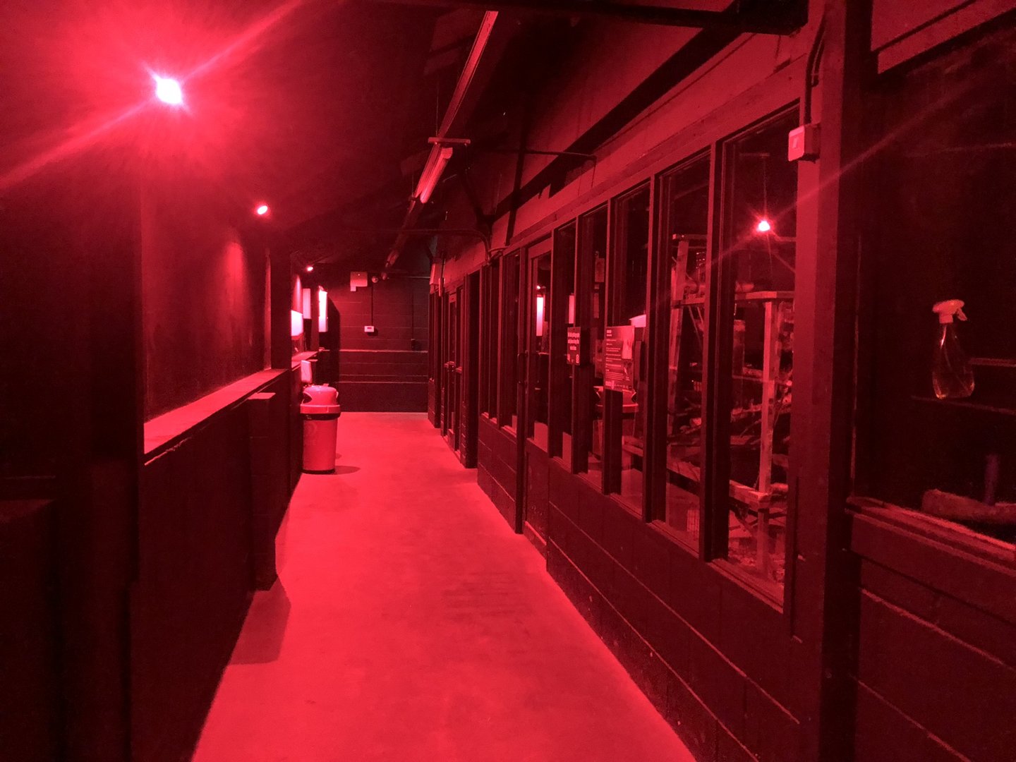 Nocturnal House Interior at Ponderosa Zoo (October 2022)