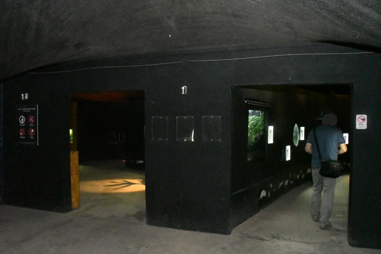 Nocturnal House Interior