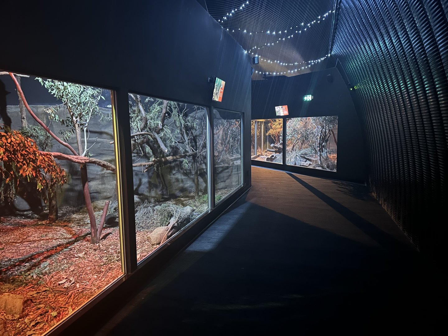 Nocturnal House Interior