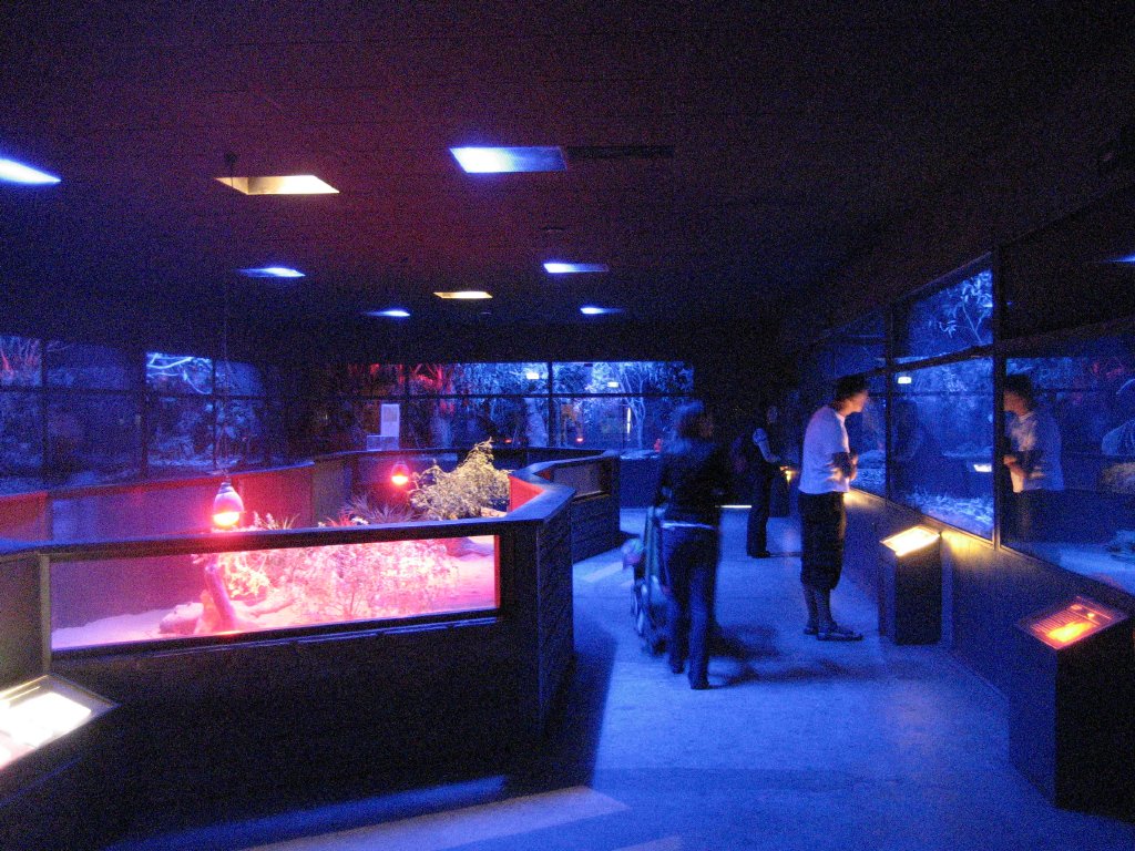 Nocturnal house interior