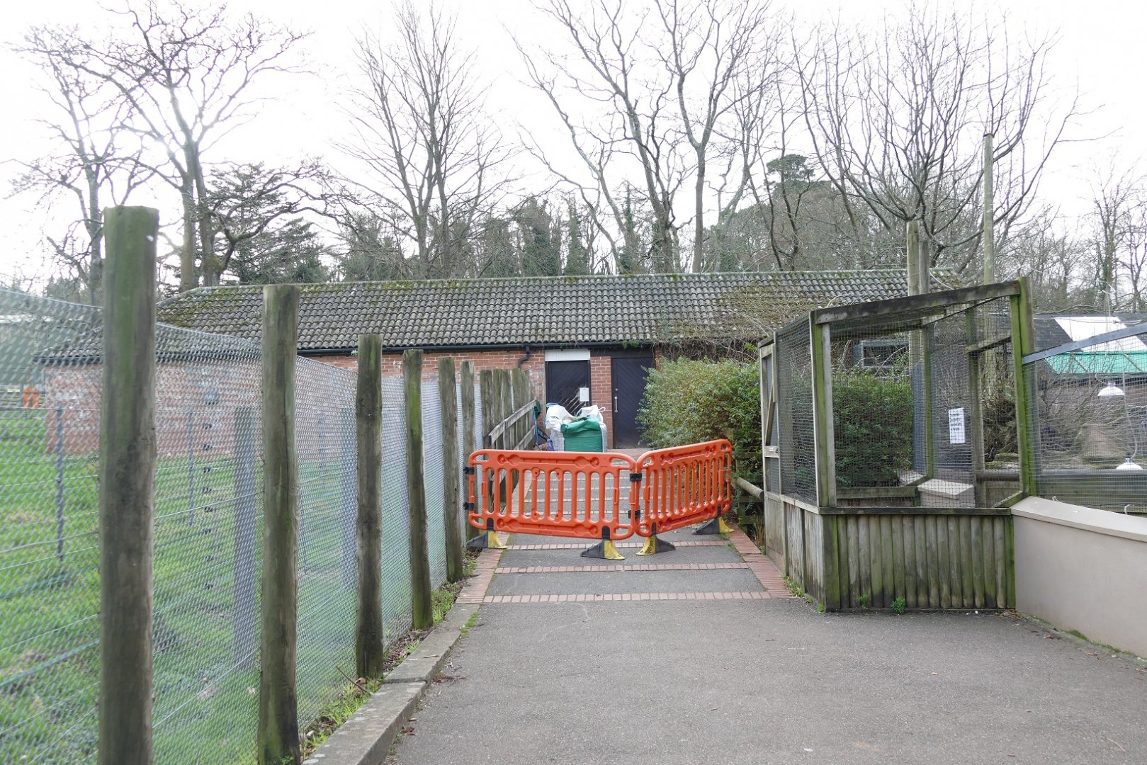 Nocturnal House, January 2019