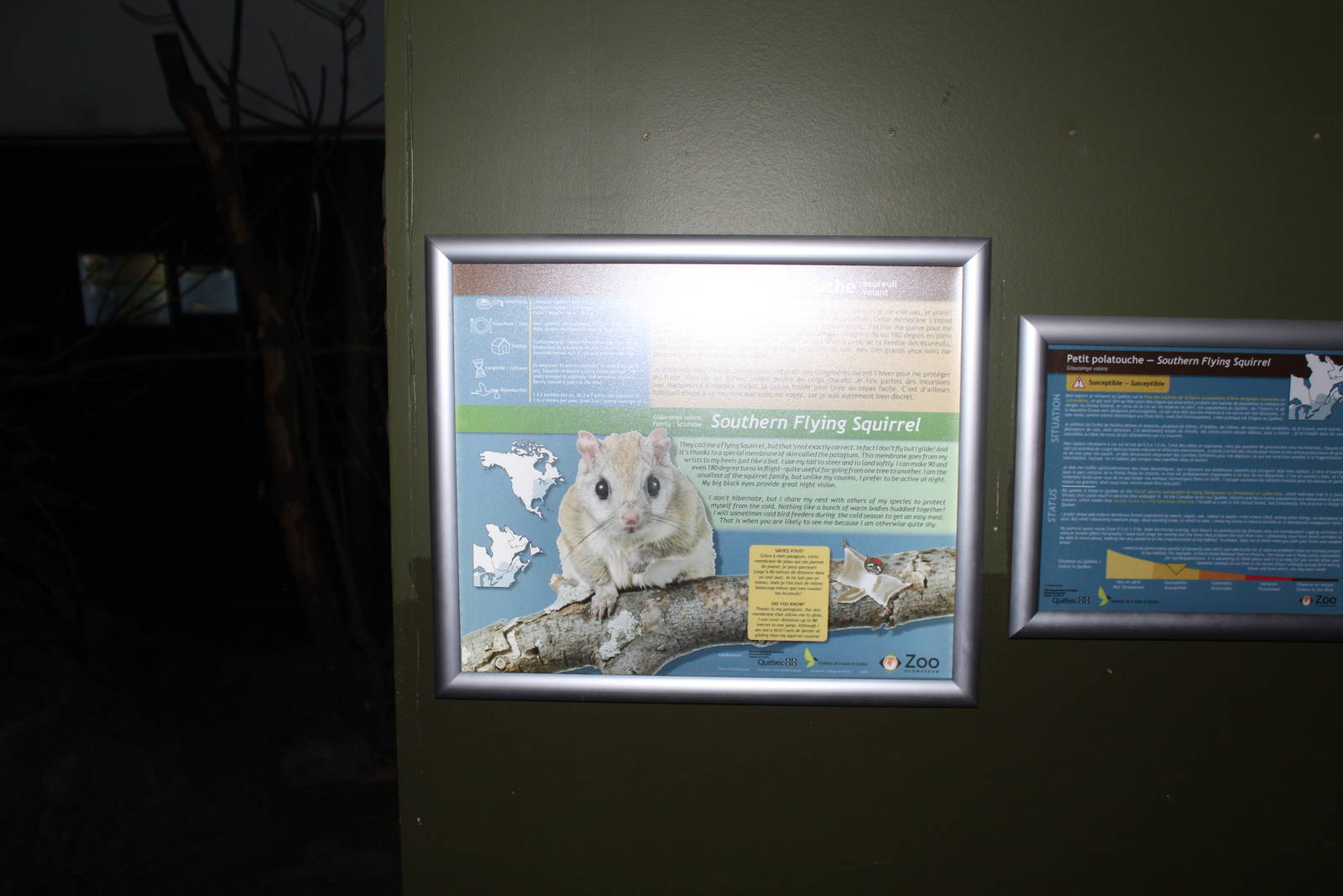 Nocturnal House - June 2016