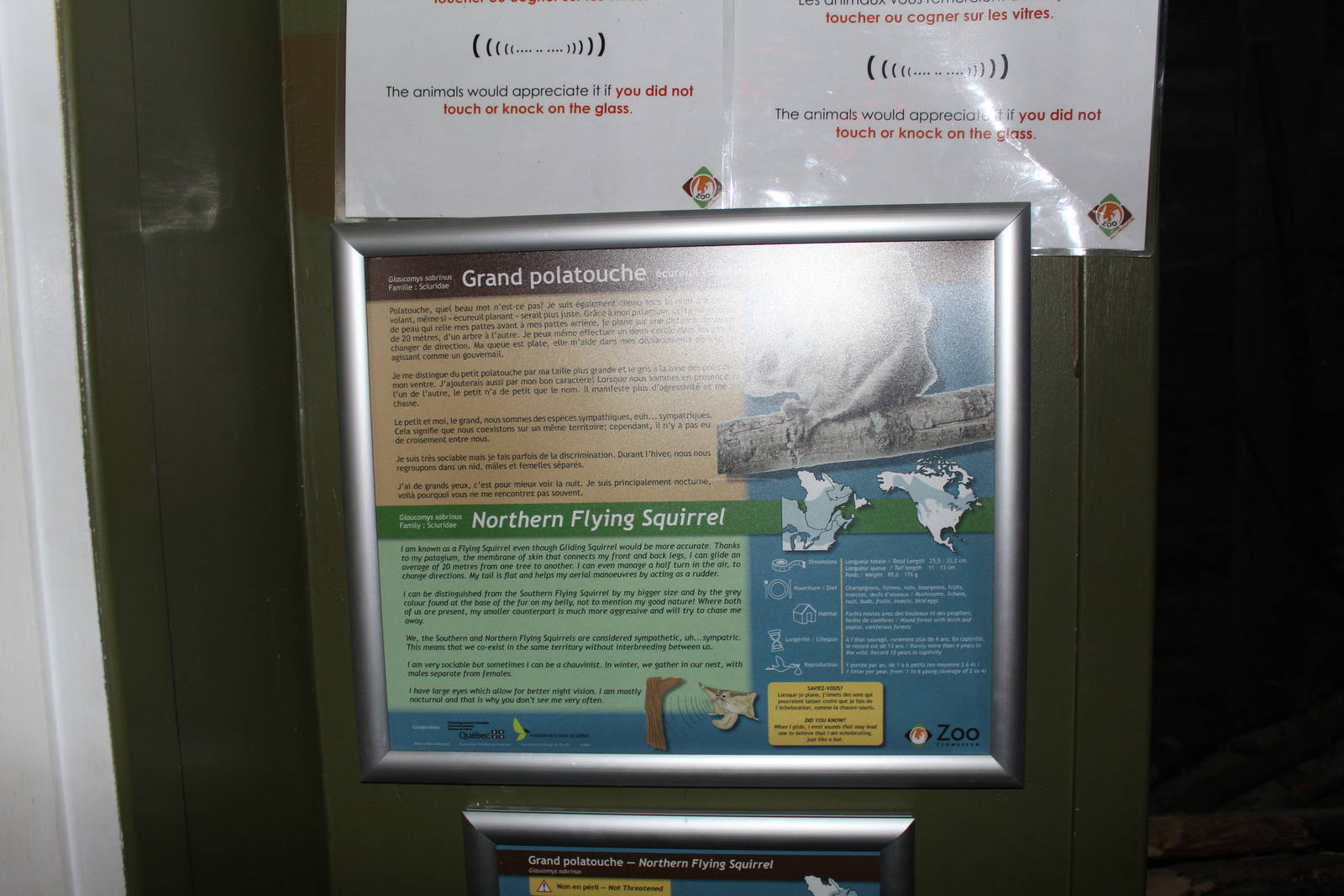 Nocturnal House - June 2016