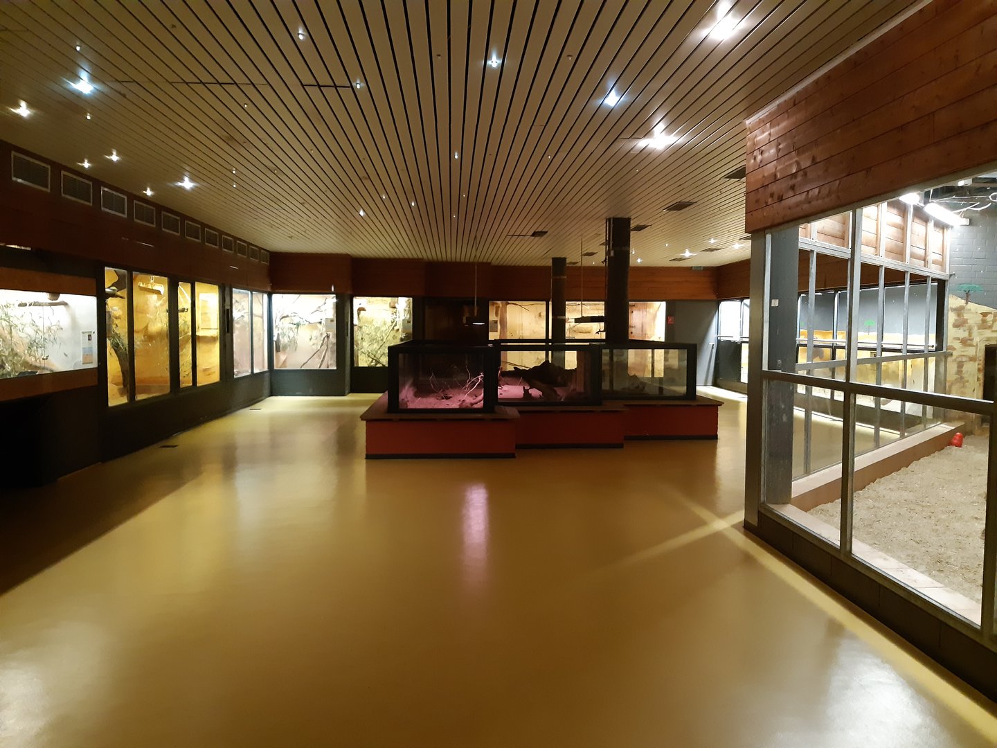 Nocturnal house (lighted) - Zoo Saarbrücken