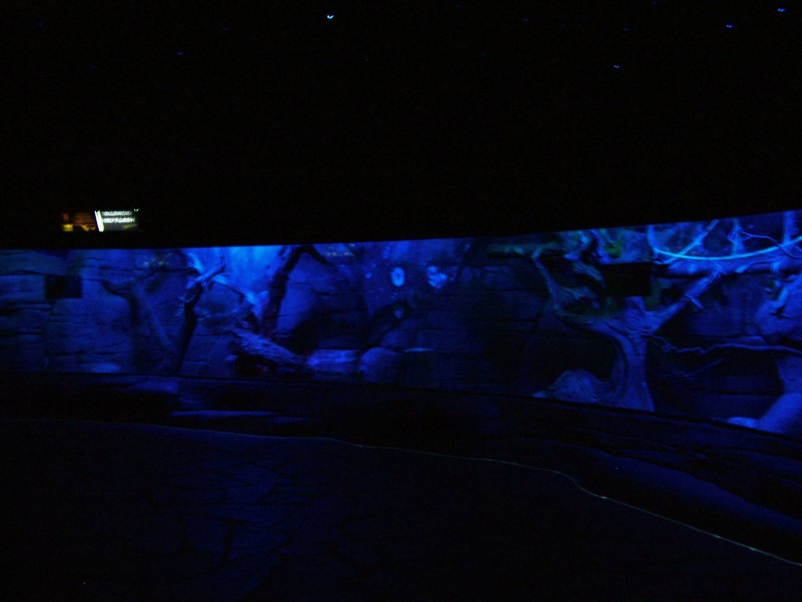 Nocturnal House Mixed Exhibit at Faunia, 27/05/11