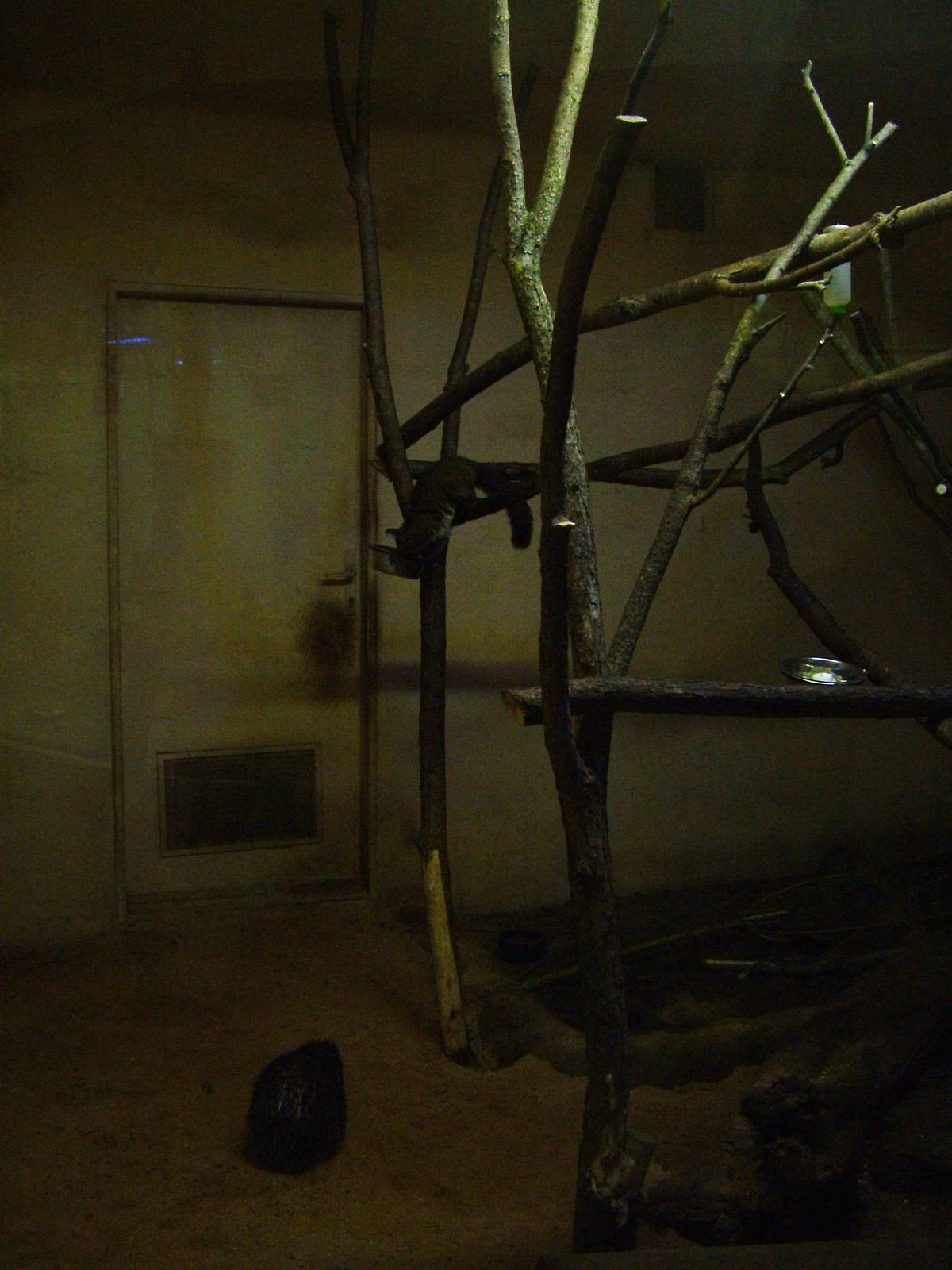 Nocturnal House mixed exhibit at Plzen, 25/05/10