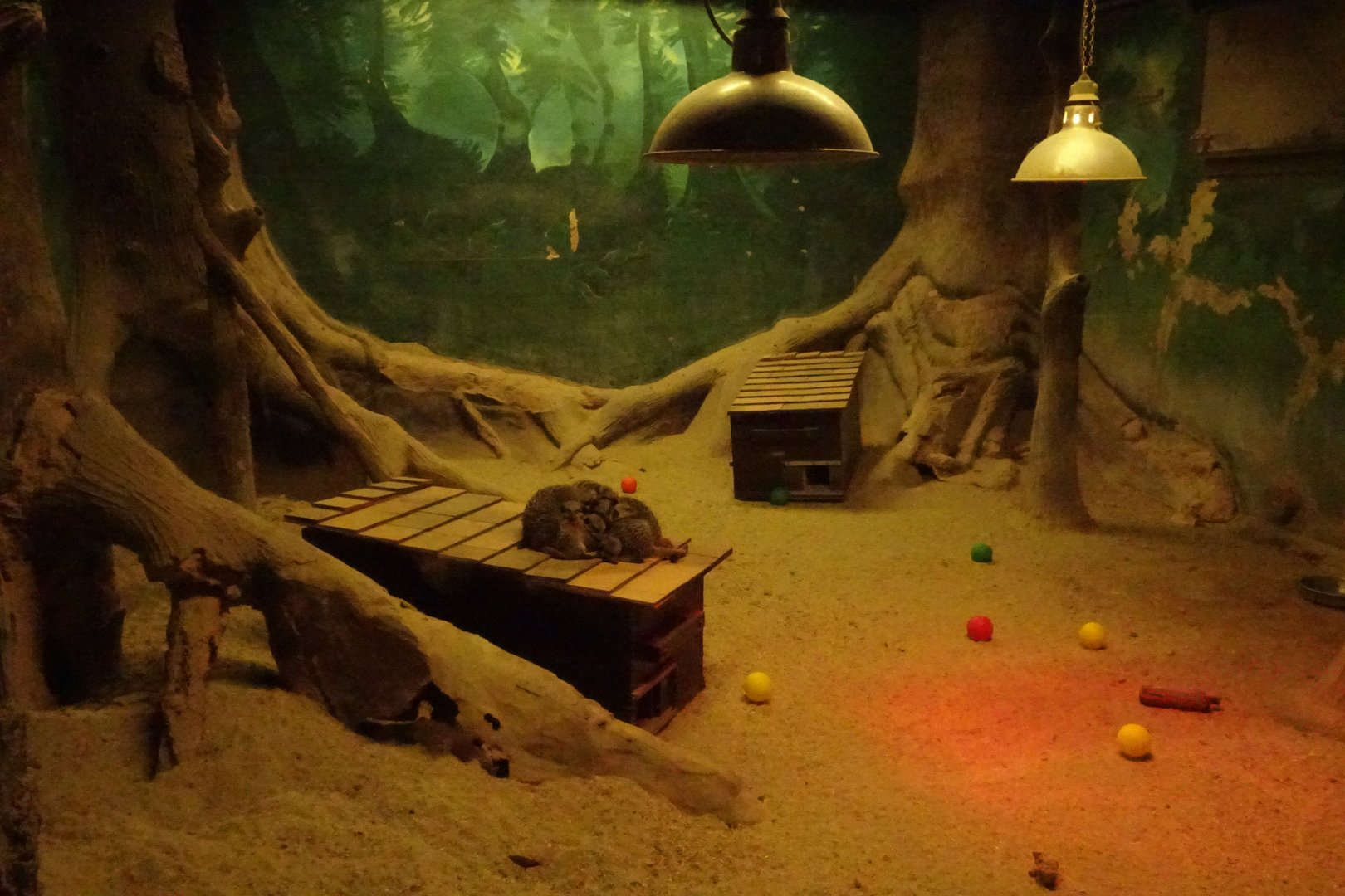 Nocturnal House, November 2017