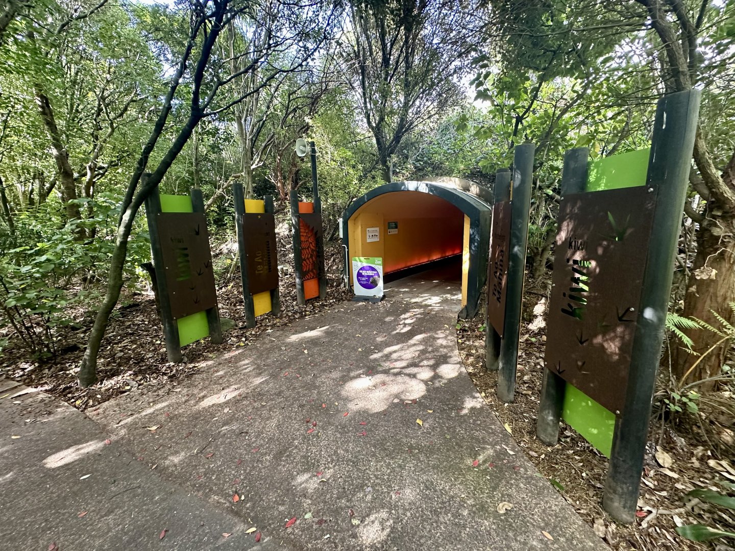 Nocturnal House (Partially Closed)