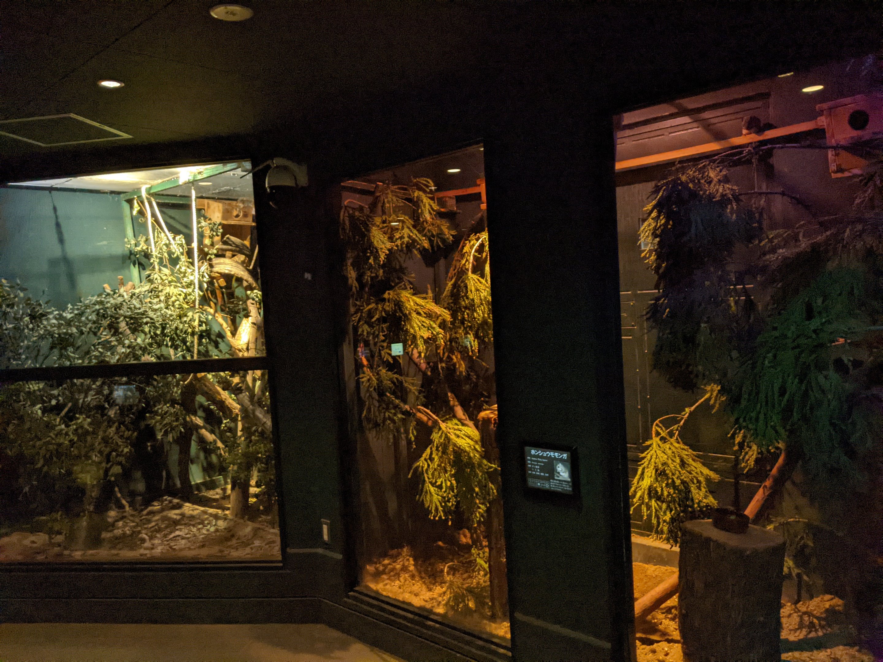 Nocturnal house - Saitama Children's Zoo