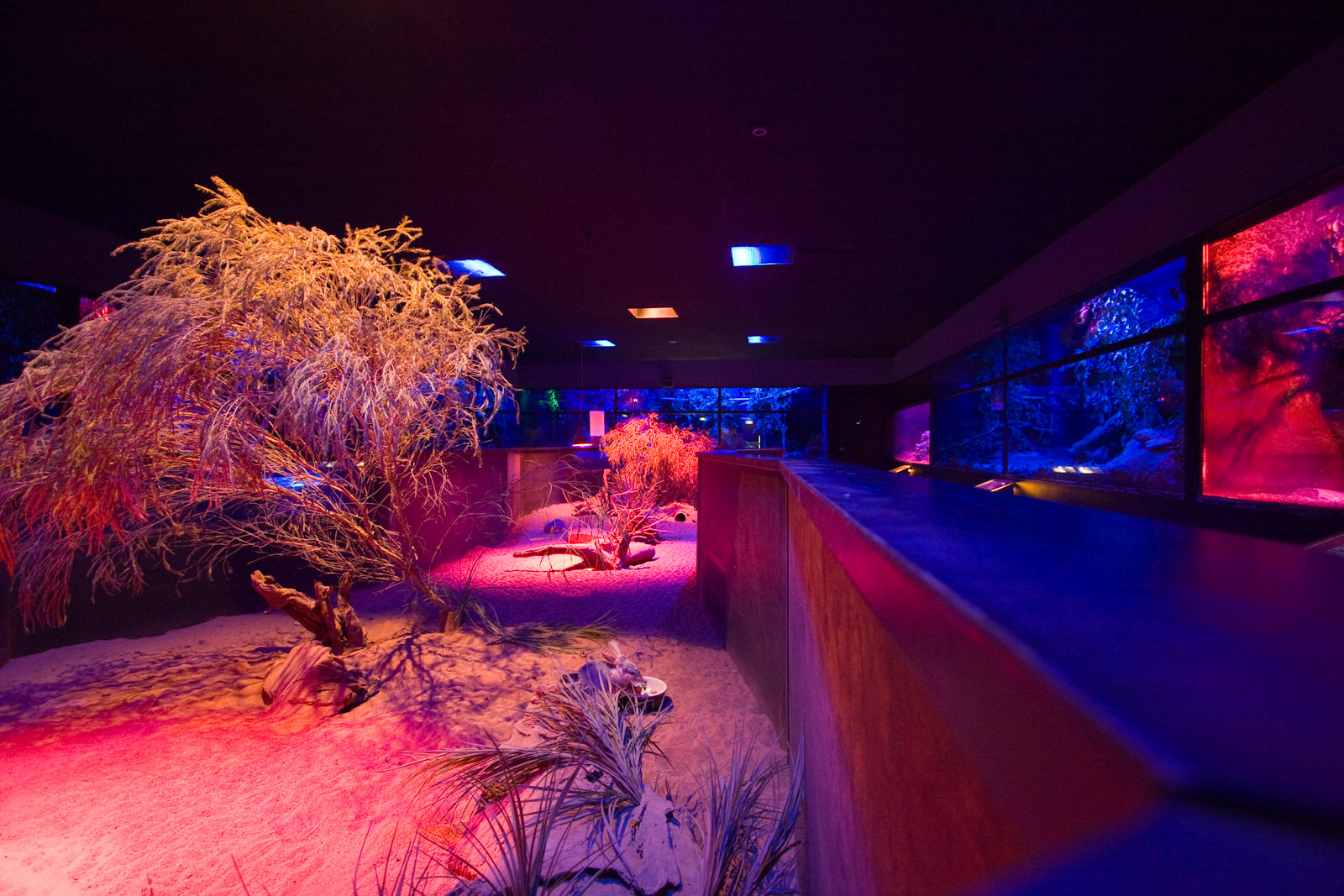 Nocturnal House - Sep 2008