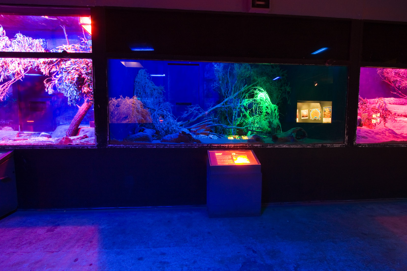 Nocturnal House - Sep 2008