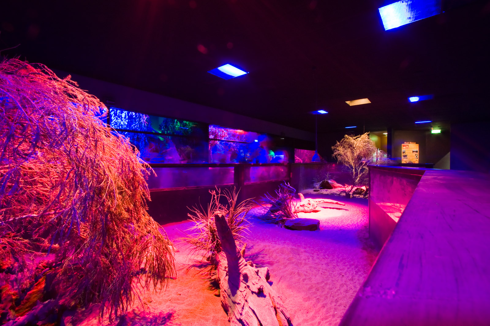 Nocturnal House - Sep 2008