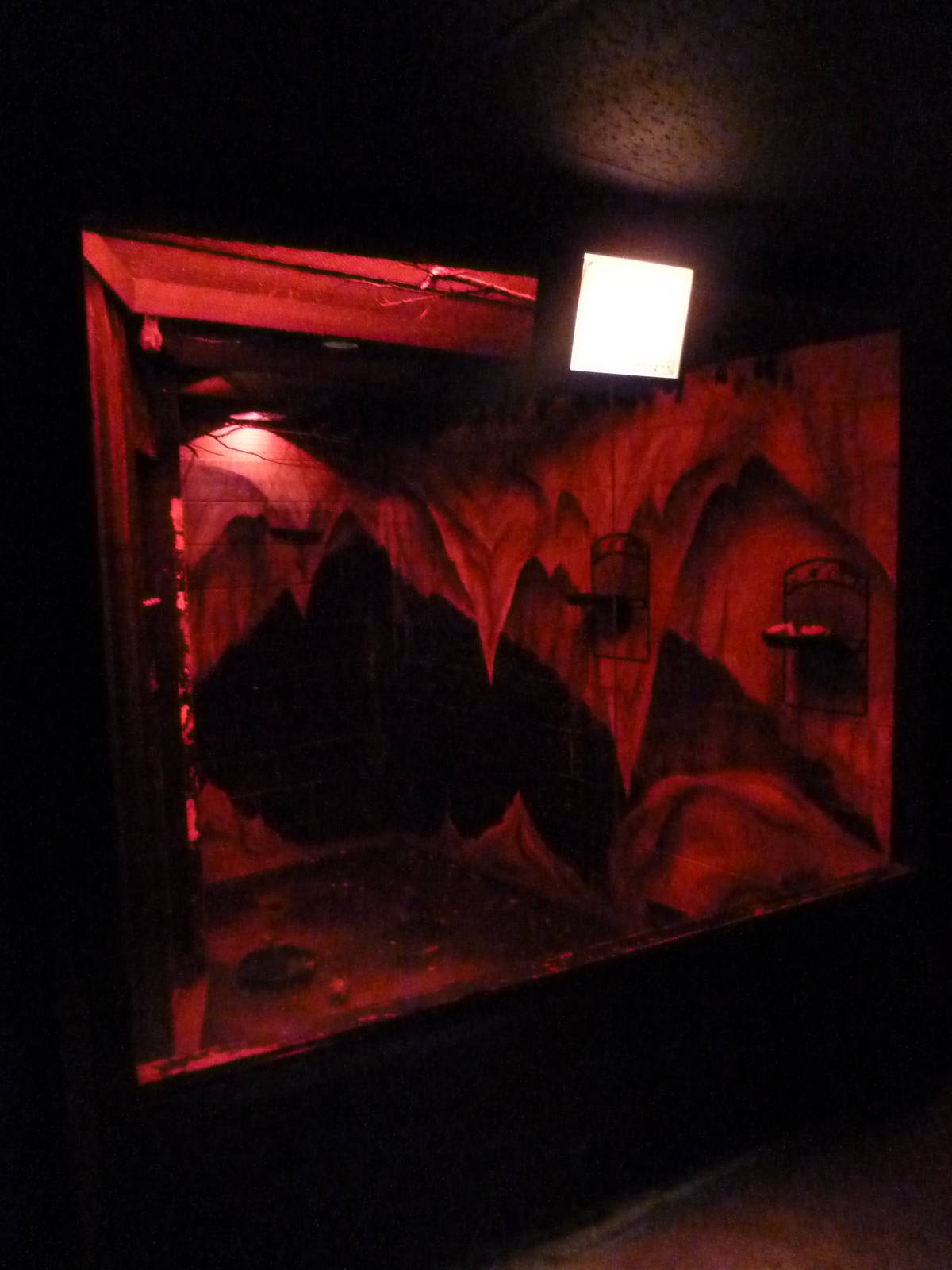 Nocturnal House - Short-Tailed Fruit Bat Exhibit