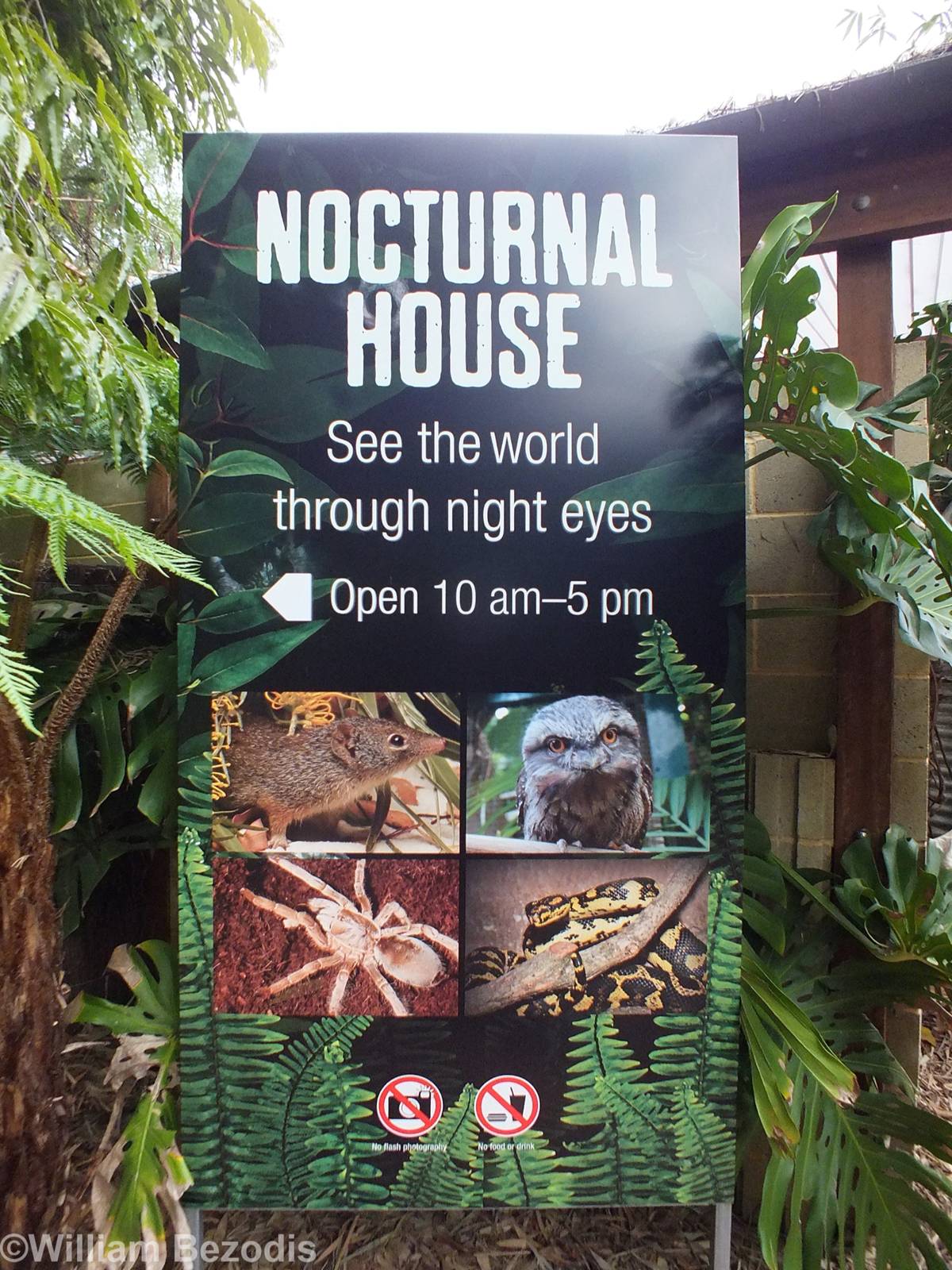 Nocturnal House Sign