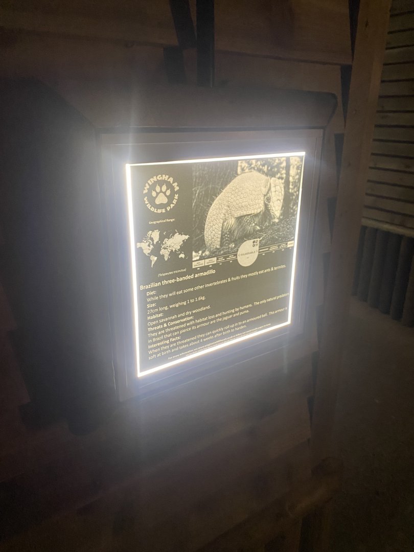 Nocturnal House - Signage example 030924