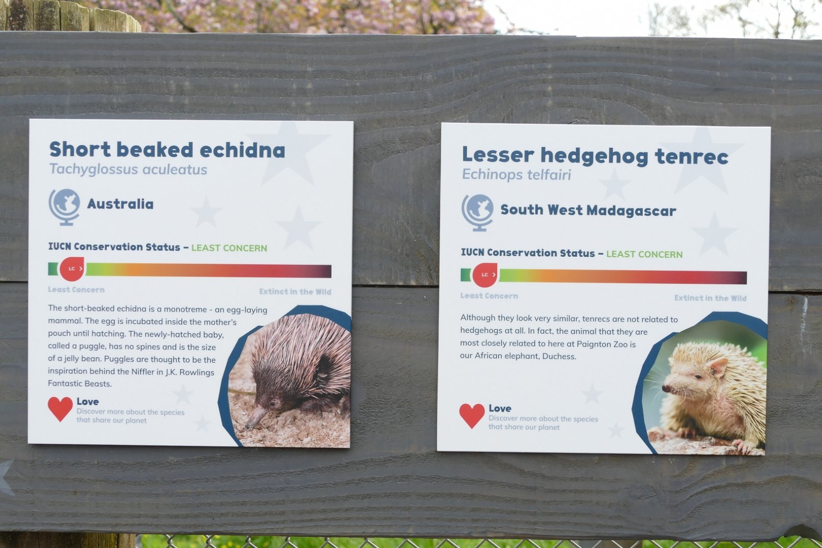 Nocturnal House signs, April 2019