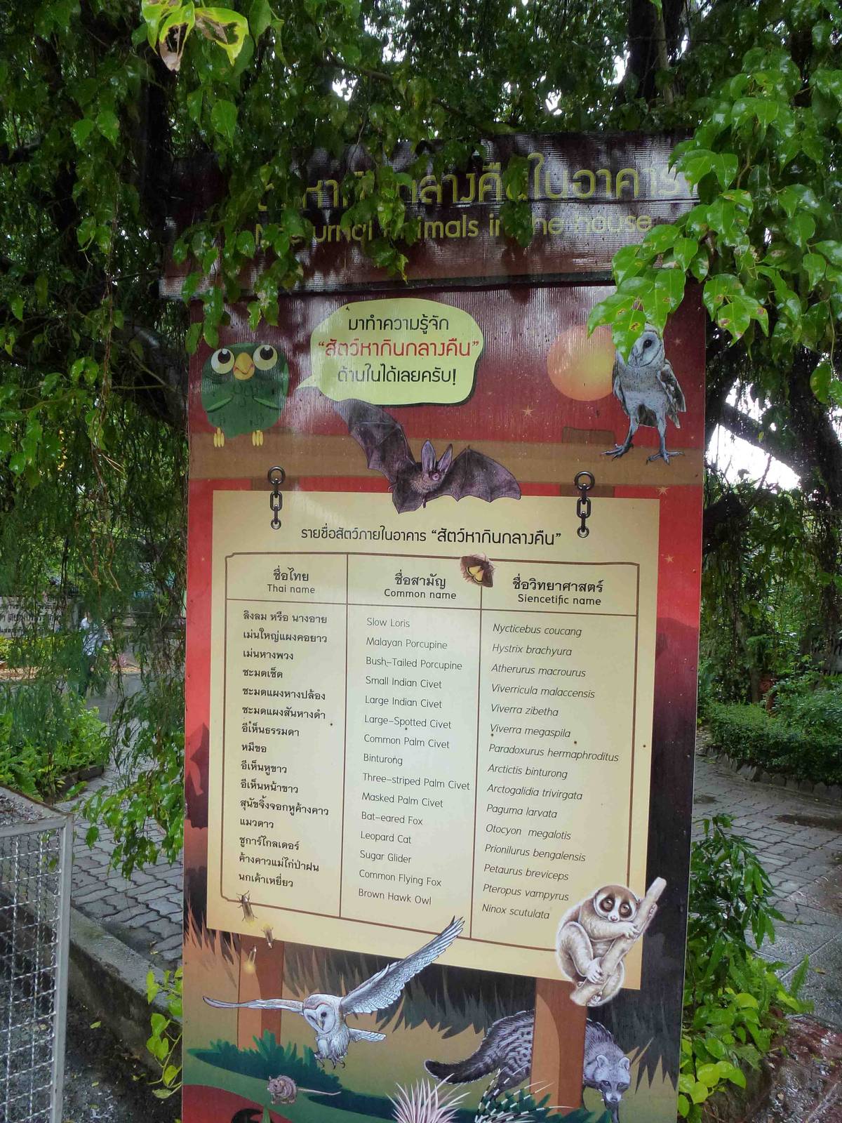 Nocturnal house species list, July 2013.