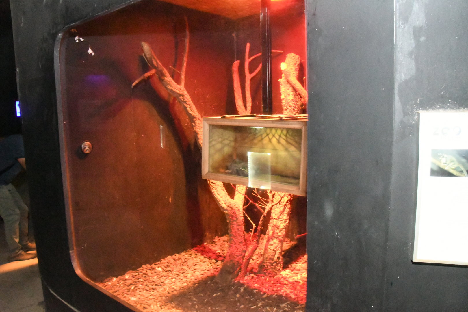 Nocturnal House (Sugar Gliders exhibit)