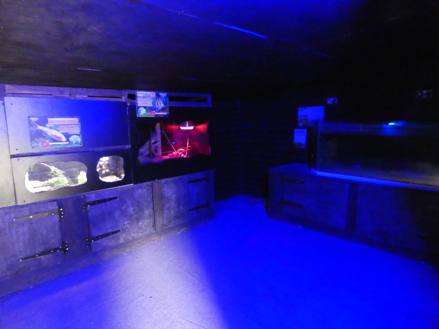 Nocturnal house view