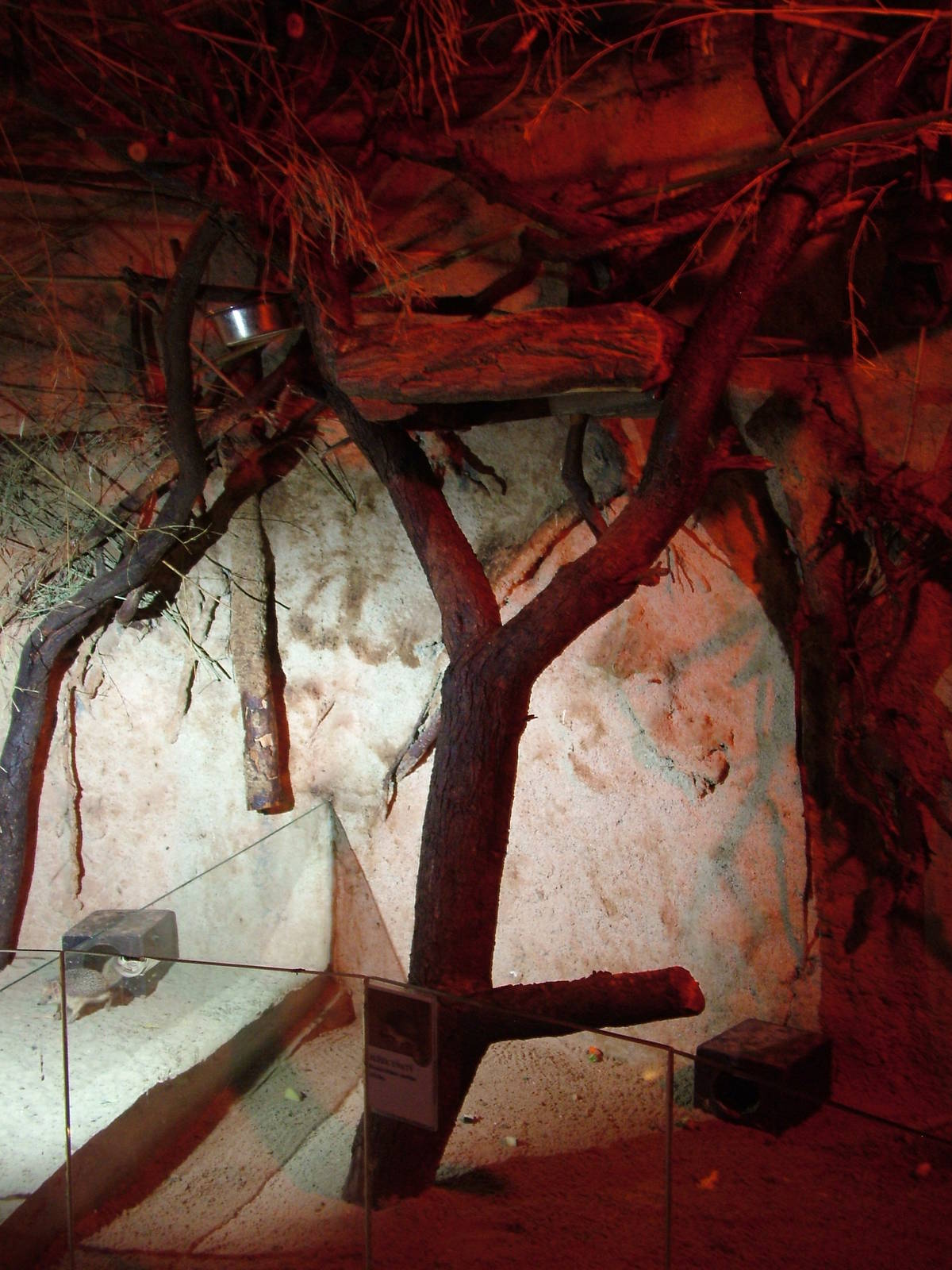 Nocturnal Hut Interior at Jihlava, 31/05/10