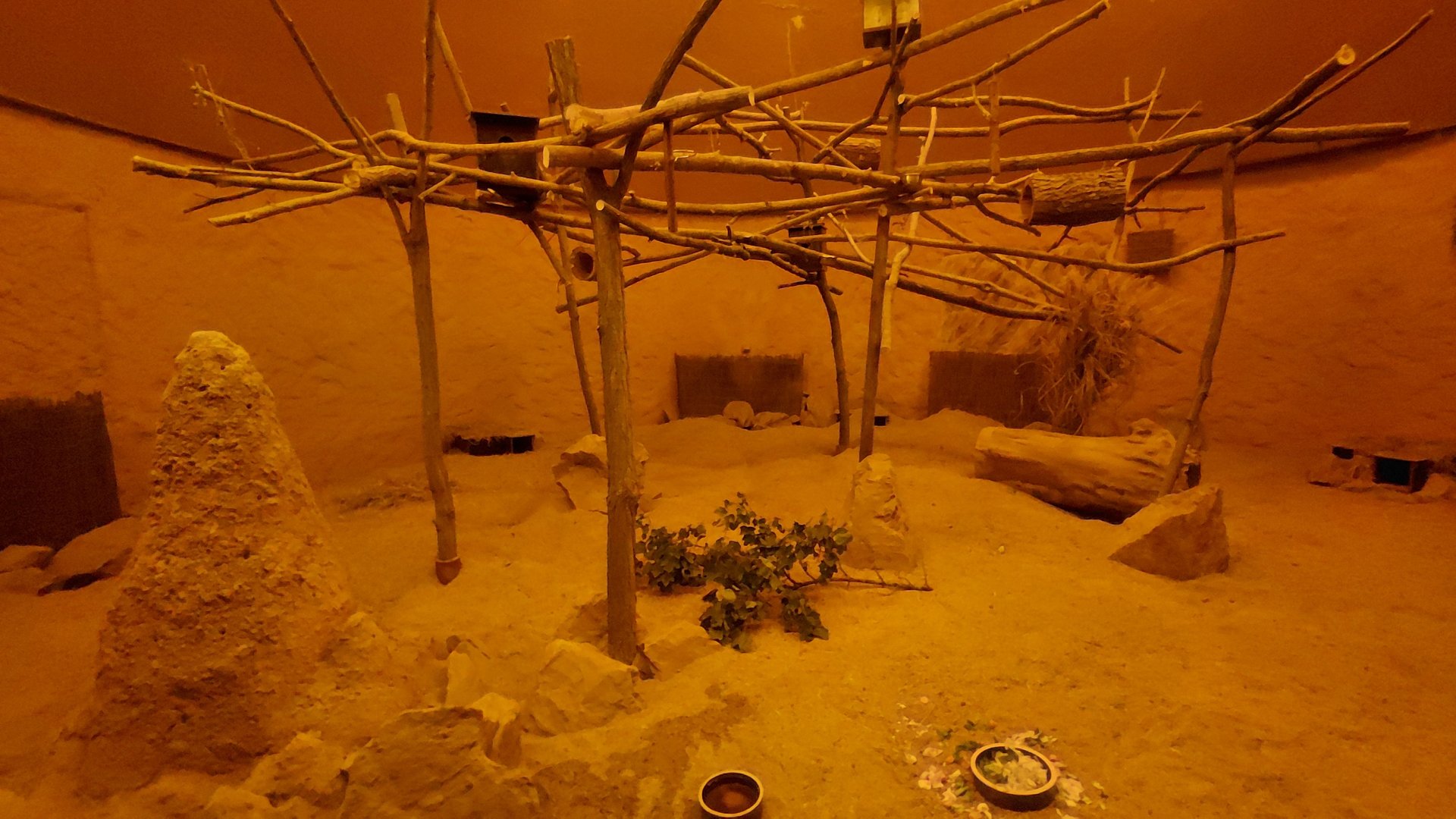 Nocturnal Limpopo exhibit