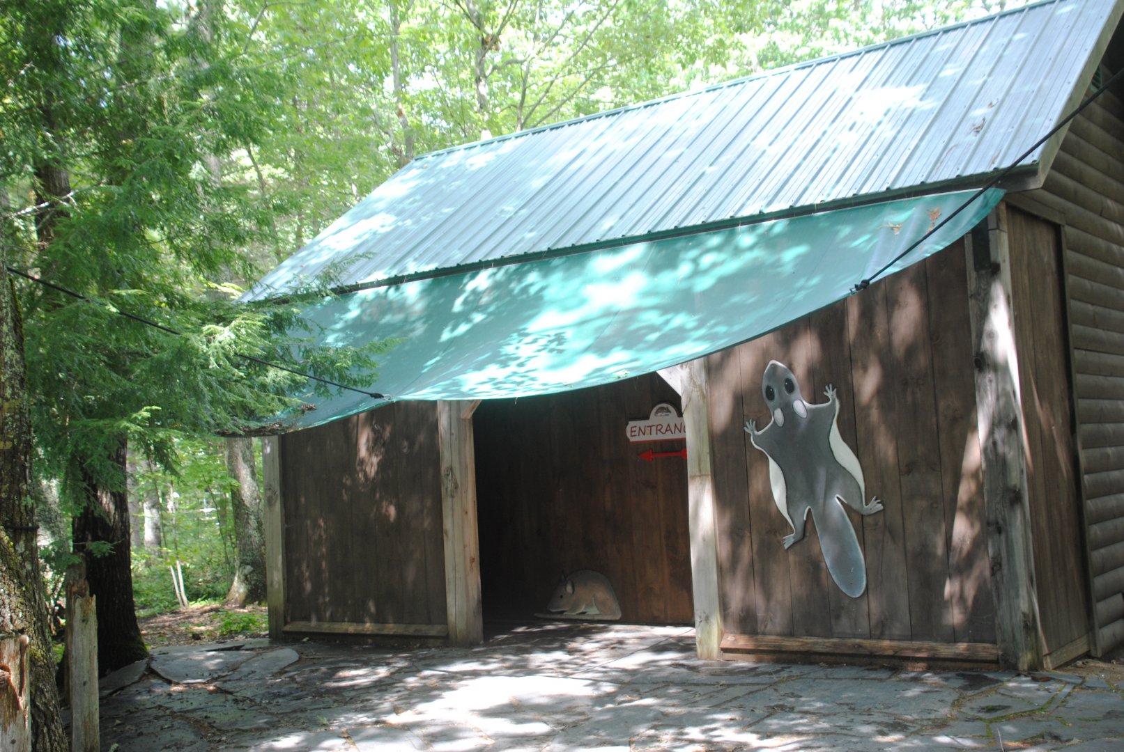 Nocturnal Mammals house