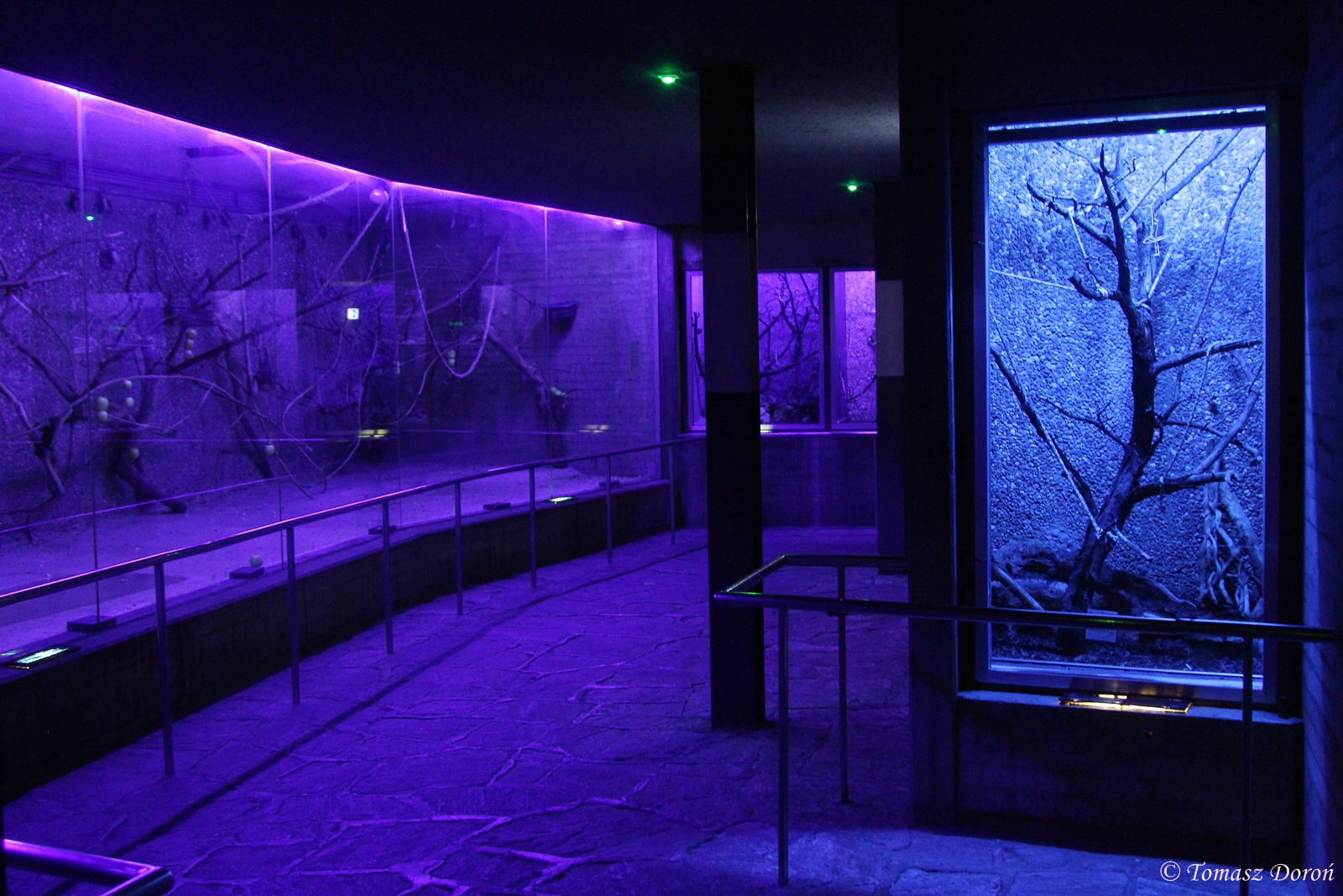 Nocturnal part in one of the Greenhouses, October 2014