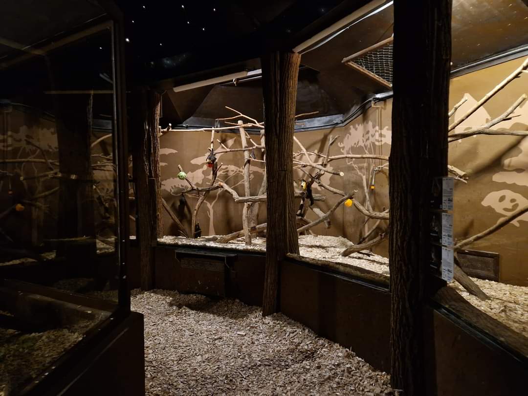 Nocturnal Pavilion indoor